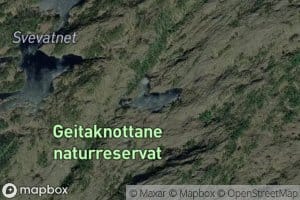 Traedstjorna