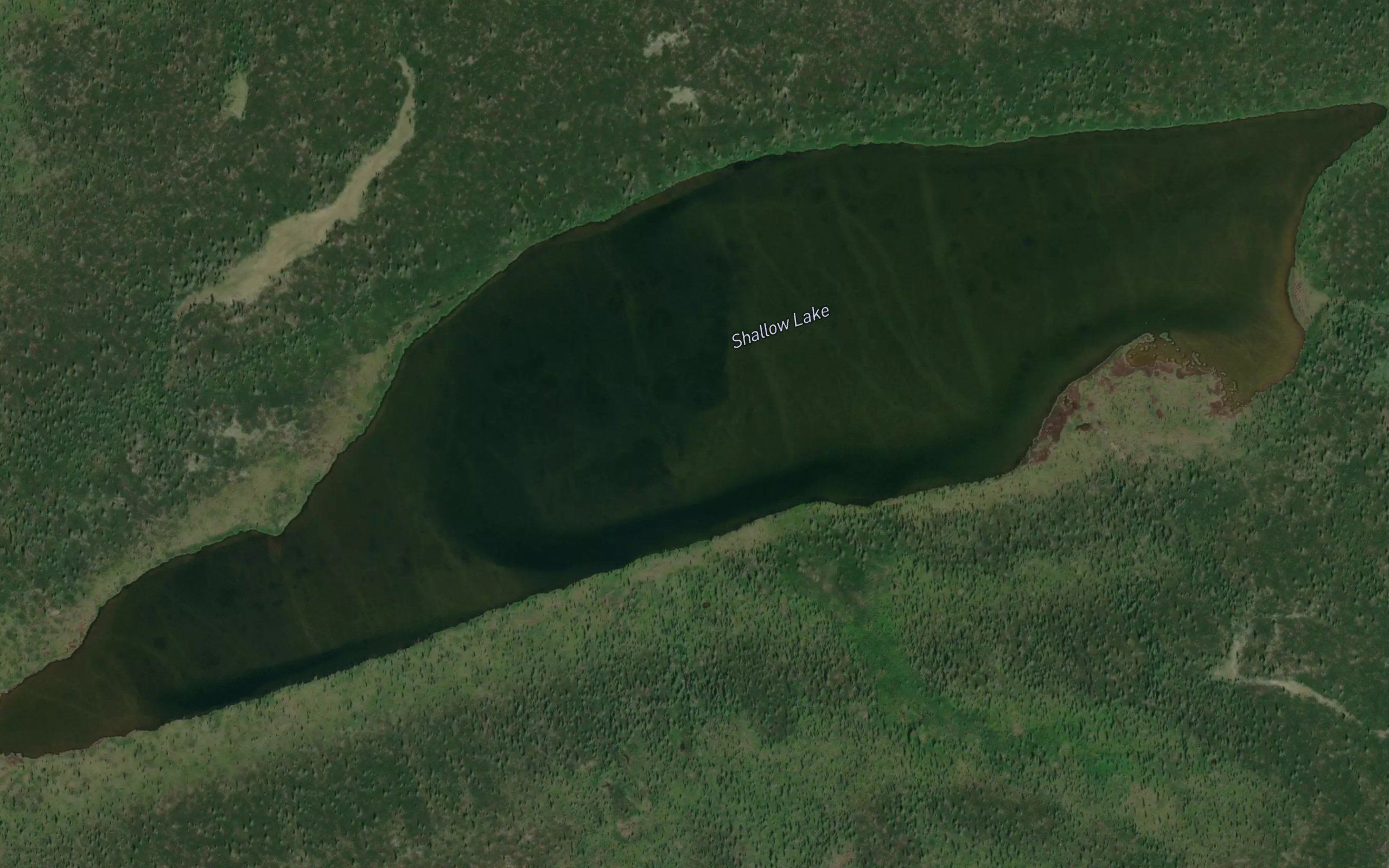 Shallow Lake