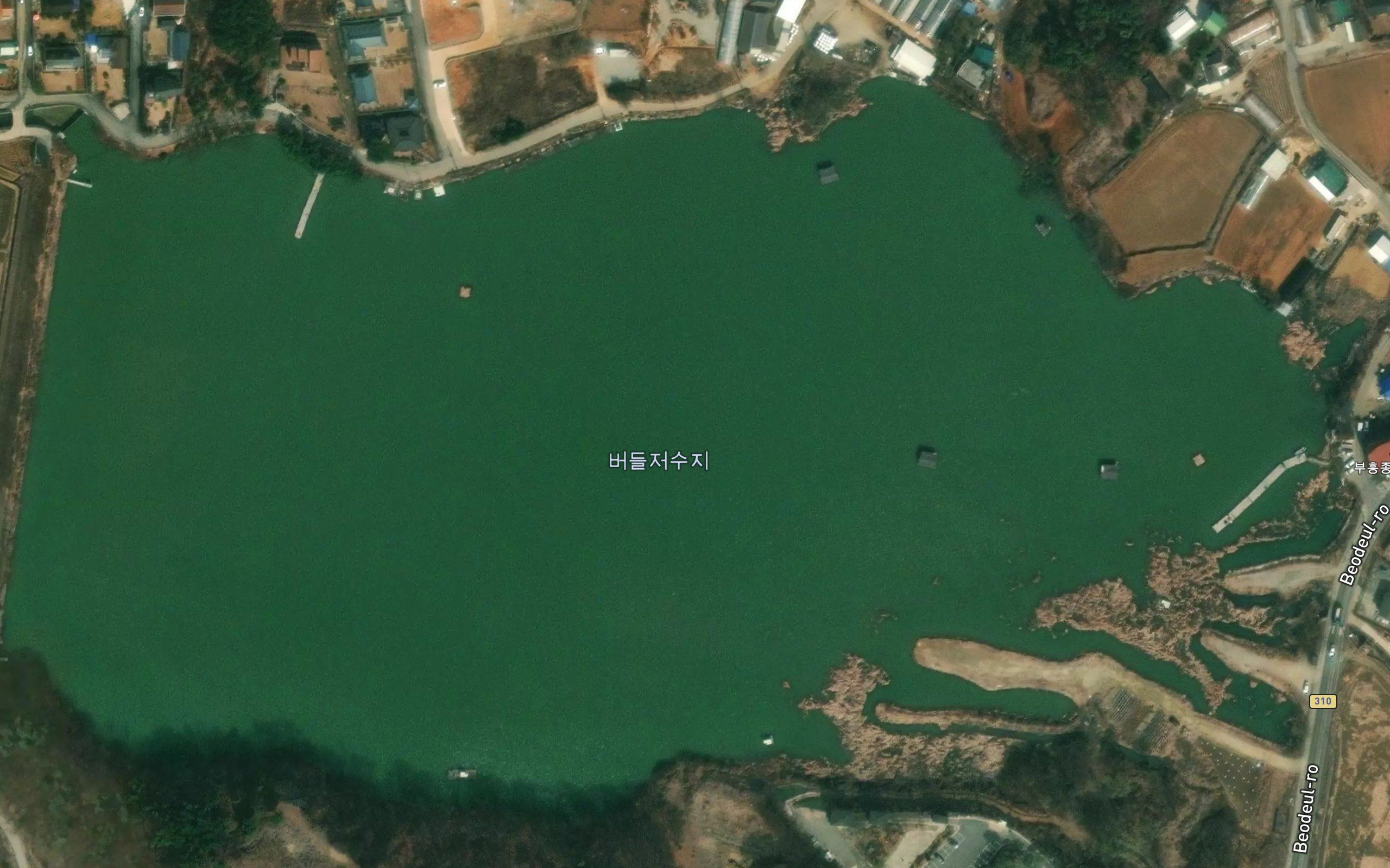 Podul-josuji