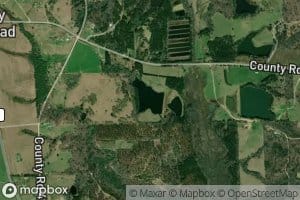 Bruce Pond Number Two