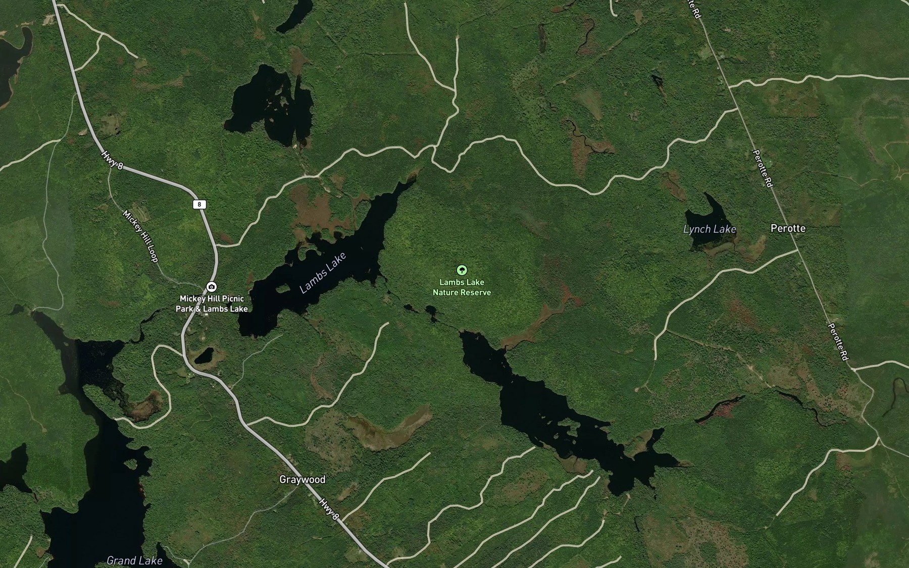 Satellite map of the Crotchet Lake Runs