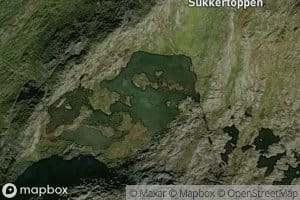 Sukkertopptjorna