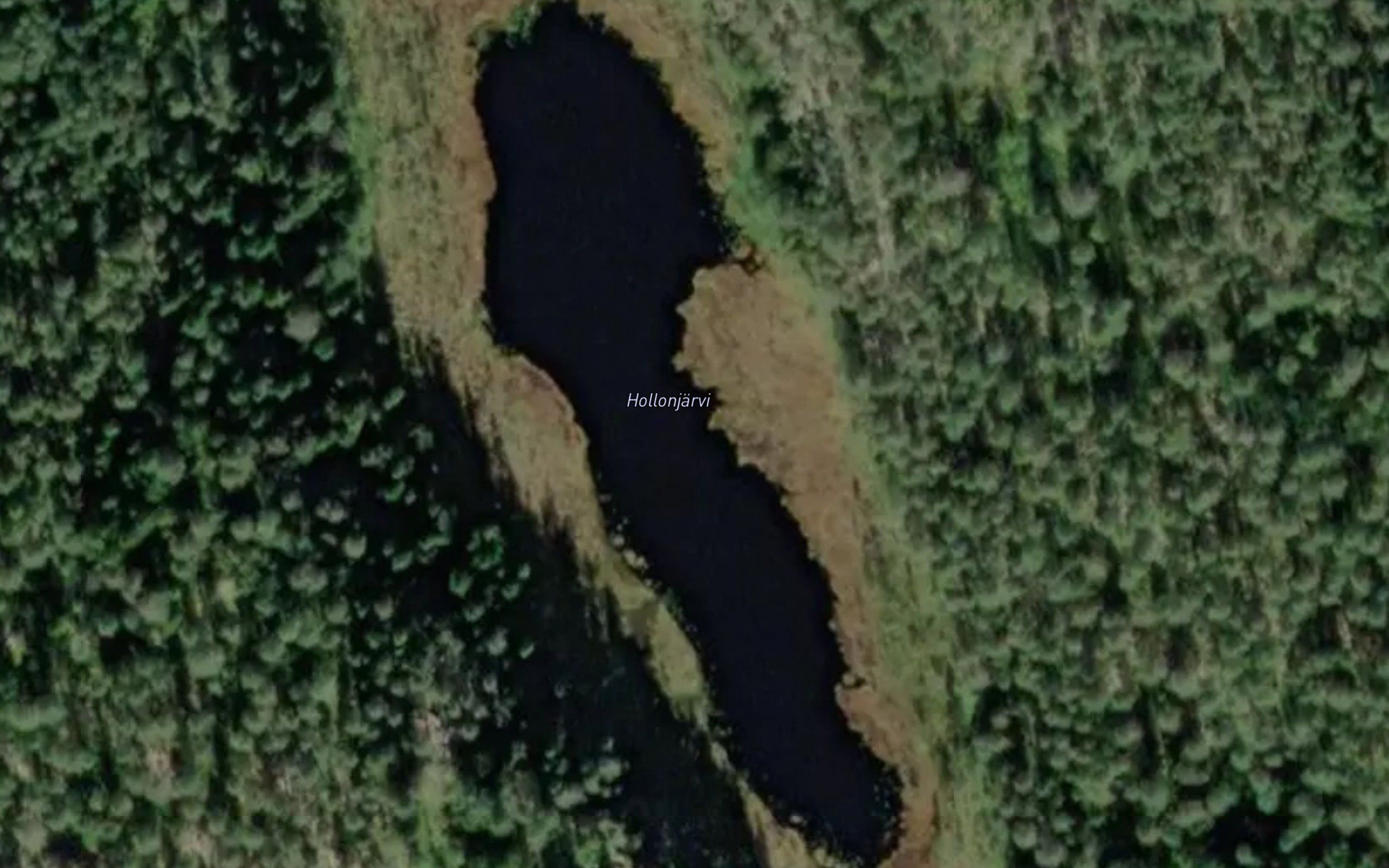 Hollonjarvi