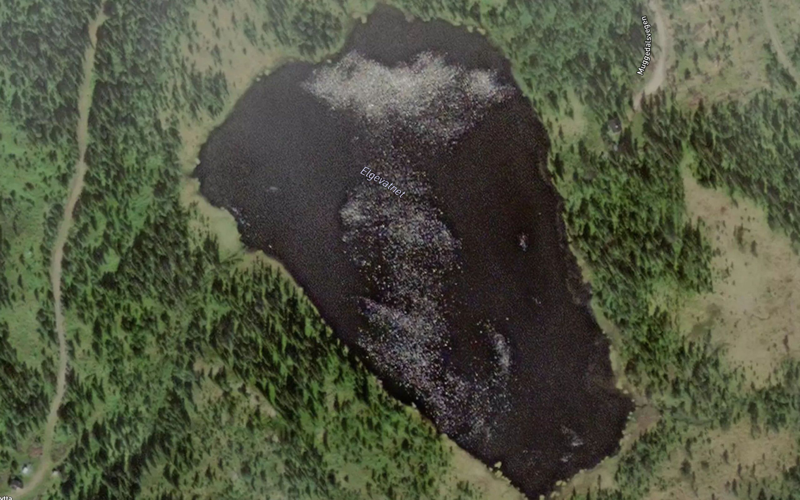 Elgevatnet