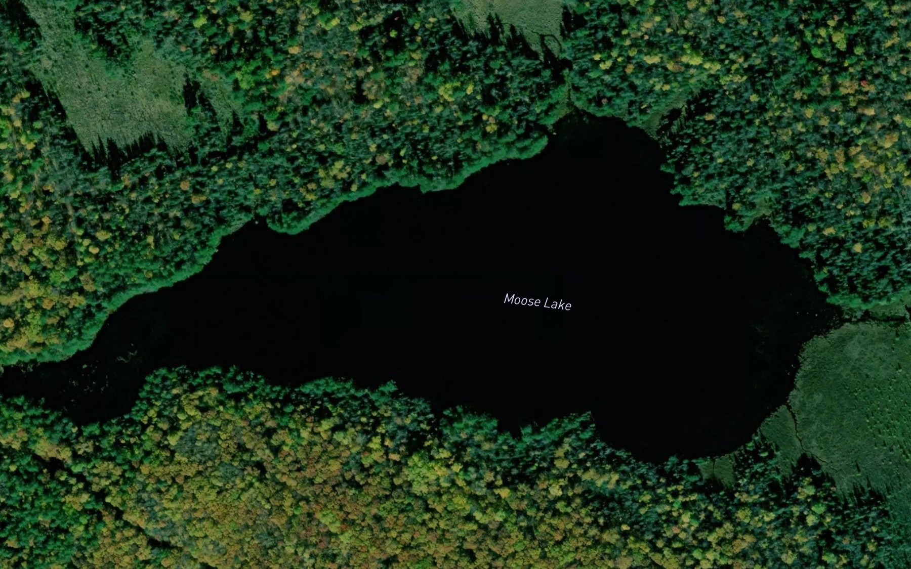 Satellite map of the Moose Lake