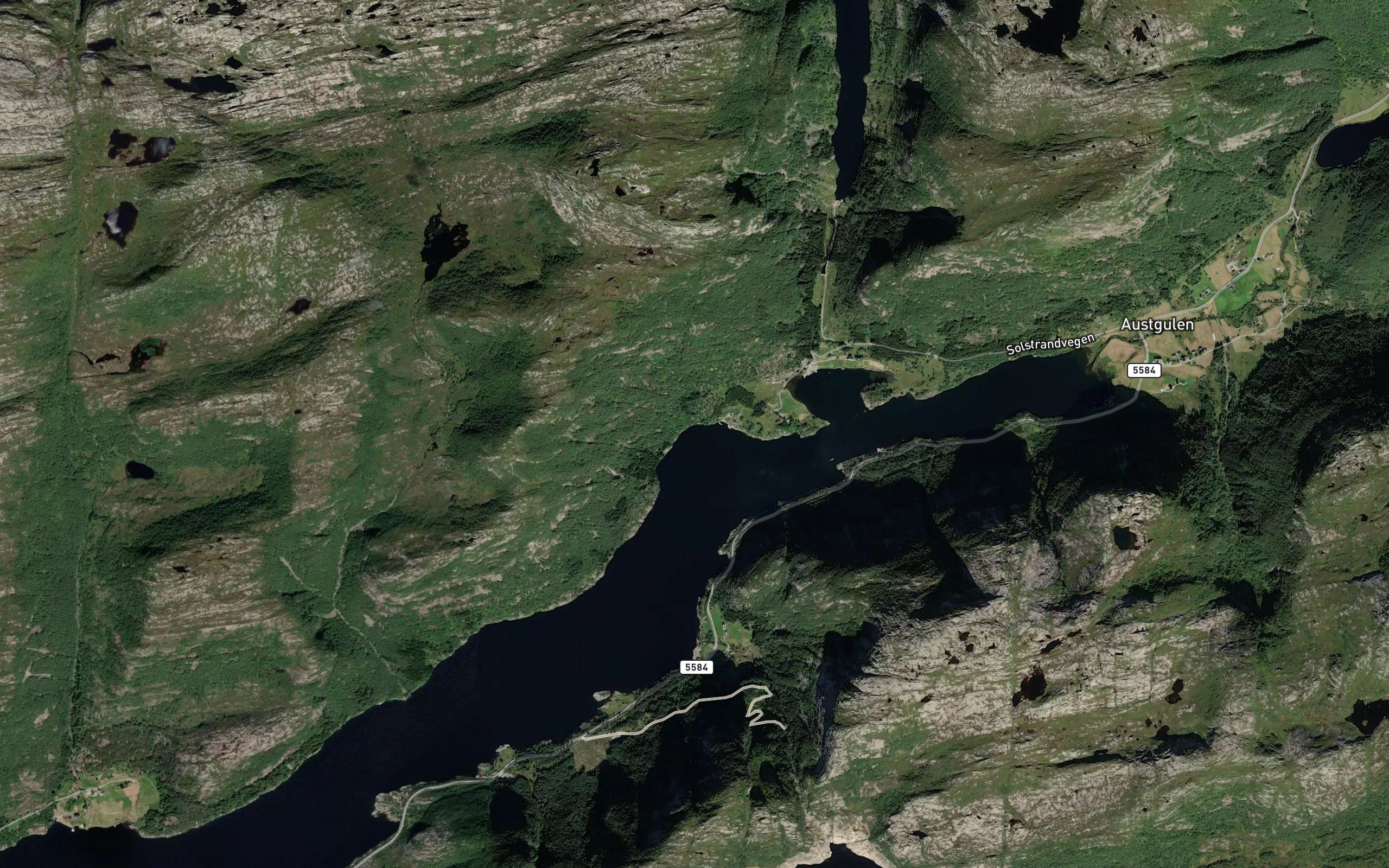 Vikebugen