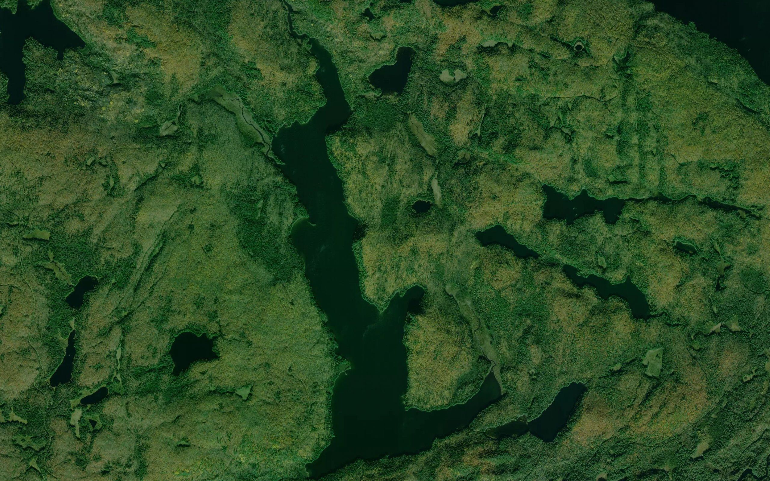 Carl Wilson Lake