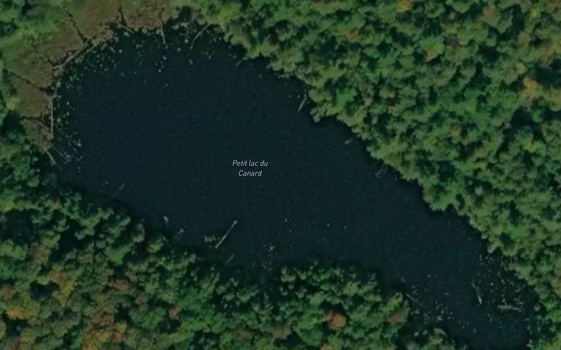 Satellite map of the Petit lac du Canard