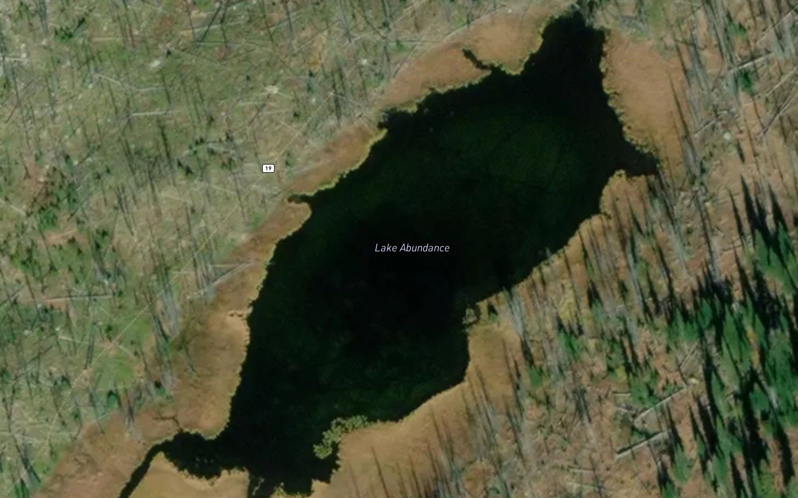 Lake Abundance