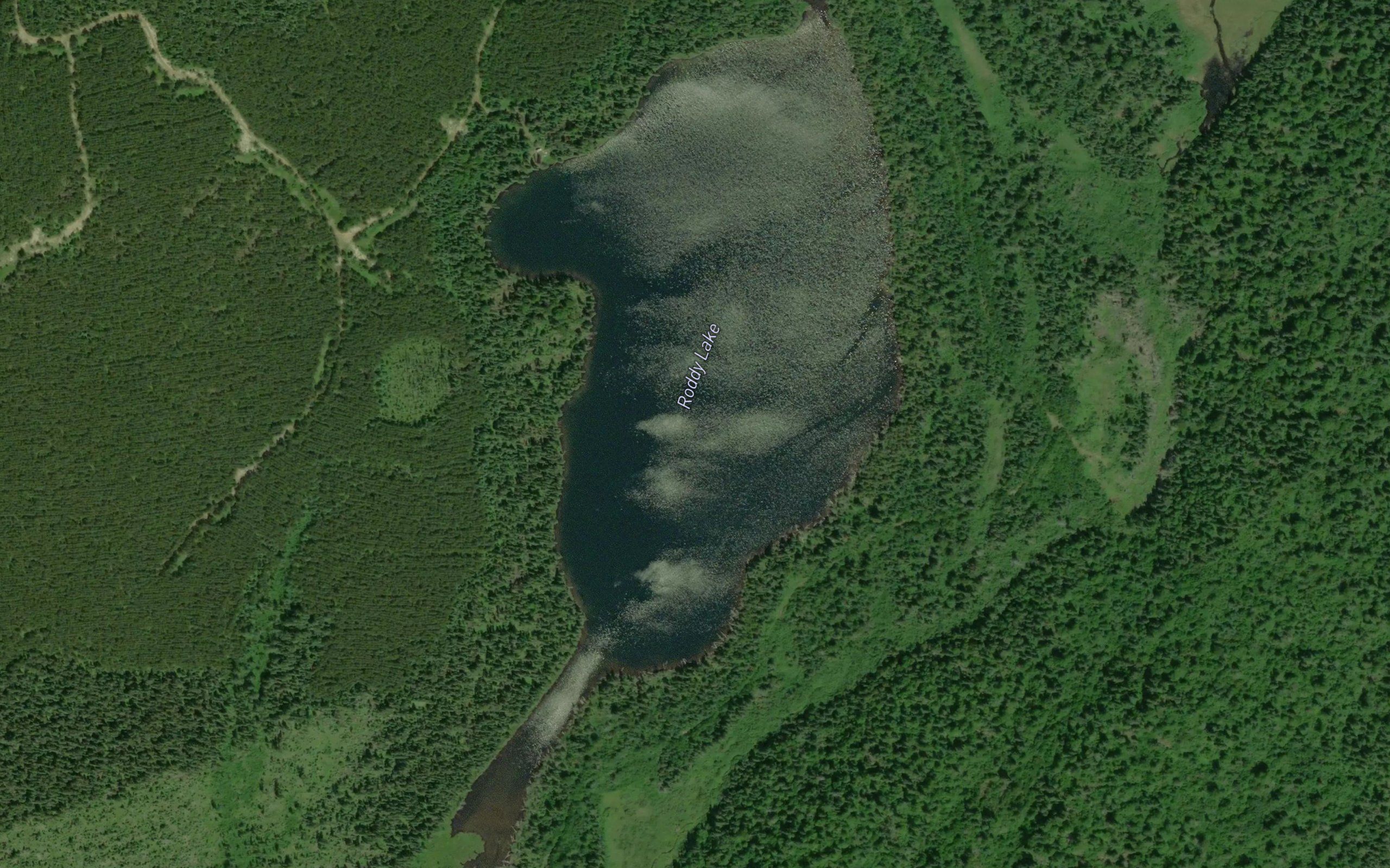 Roddy Lake