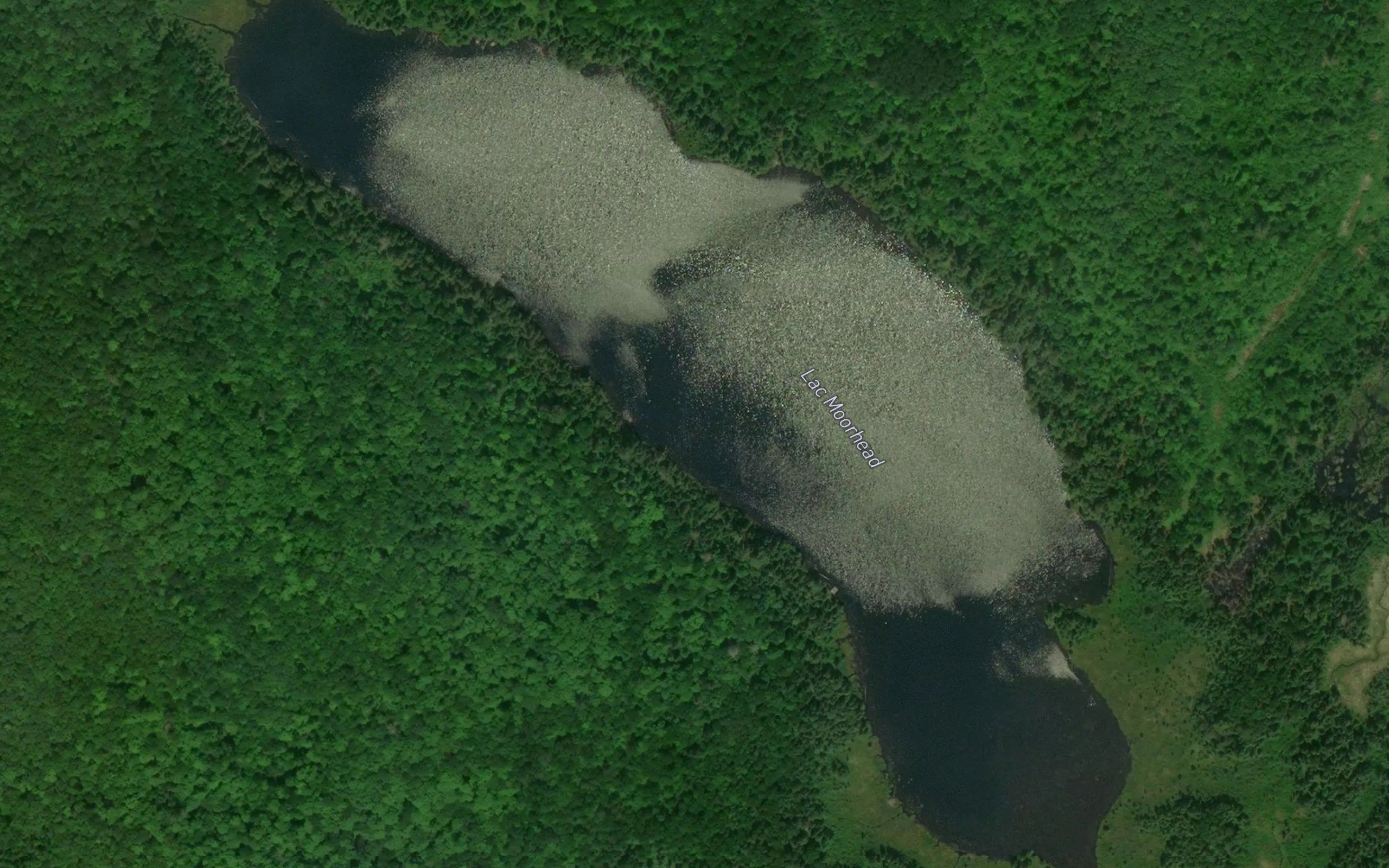 Lac Moorhead