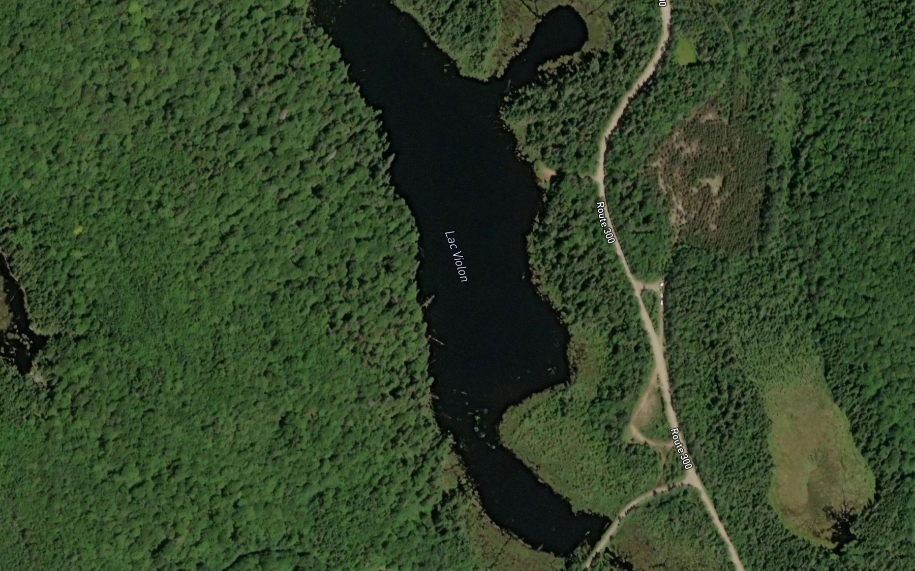 Satellite map of the Lac Violon