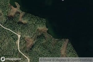 Taimenoja