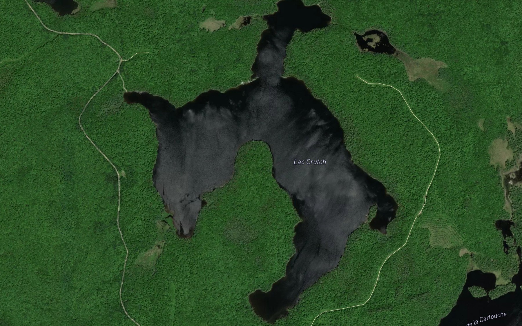 Satellite map of the Lac Crutch