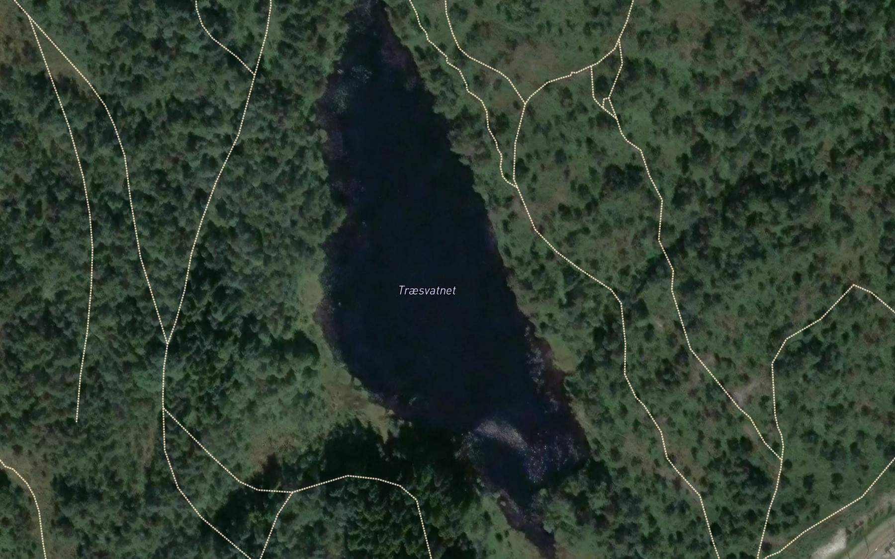 Satellite map of the Traesvatnet