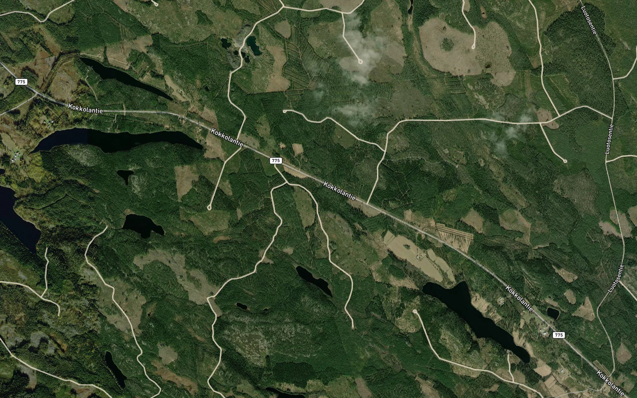 Kamppipuro