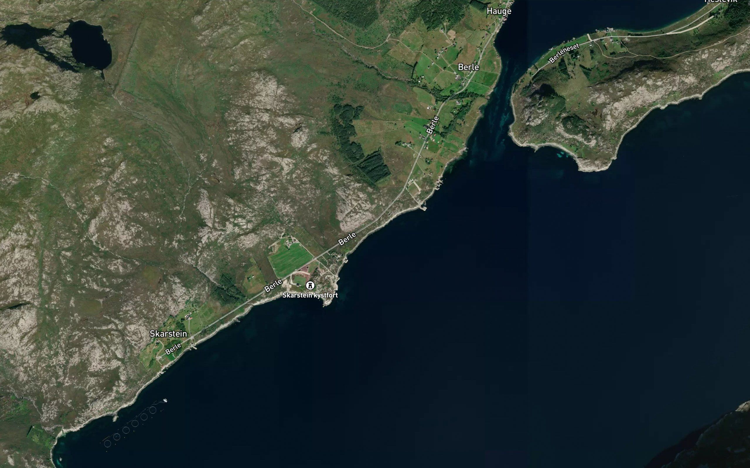 Tussevika