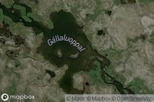 Gallaluoppal