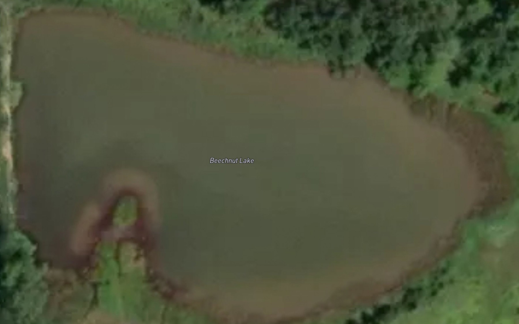 Satellite map of the Beechnut Lake