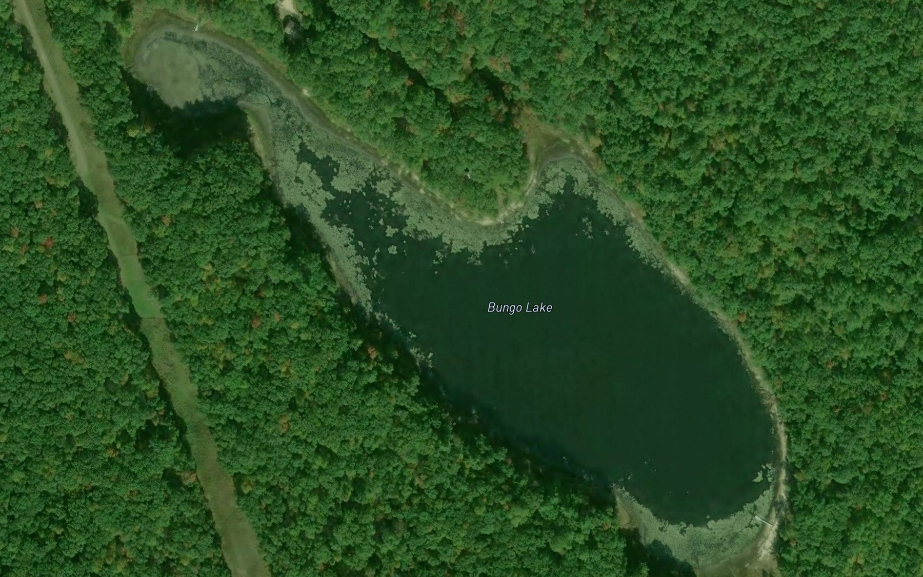Satellite map of the Bungo Lake