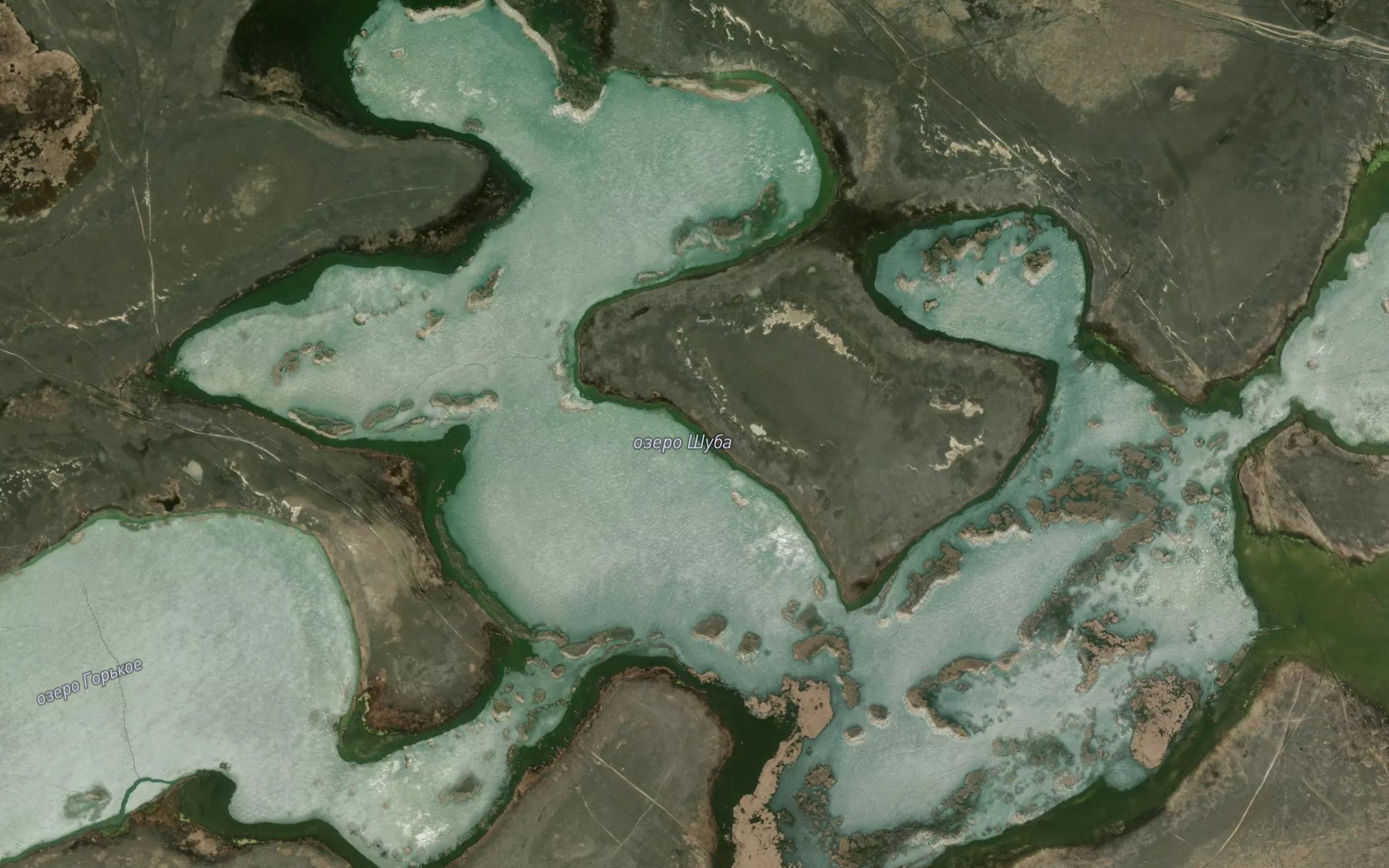 Satellite map of the Ozero Shuba