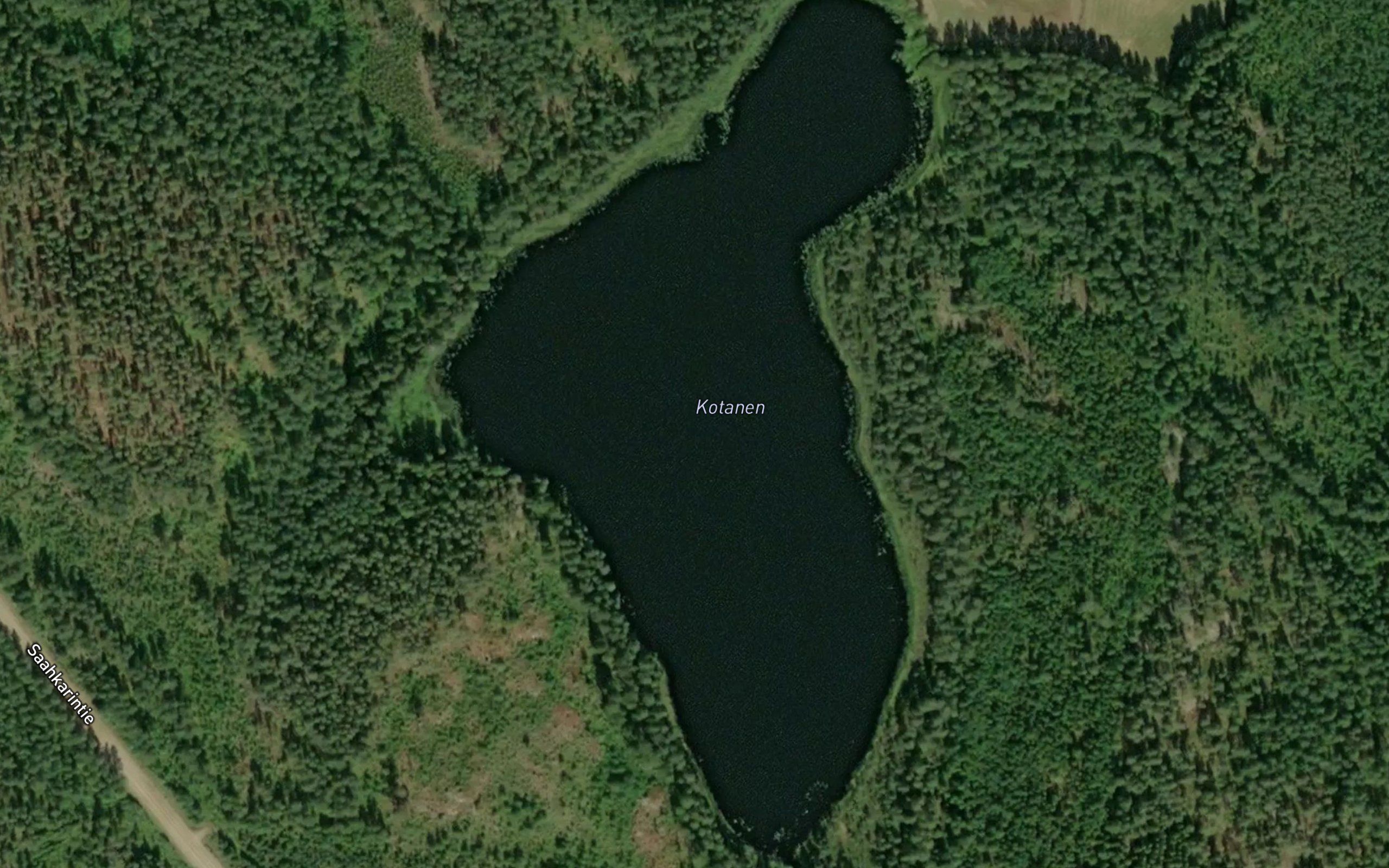 Kotanen