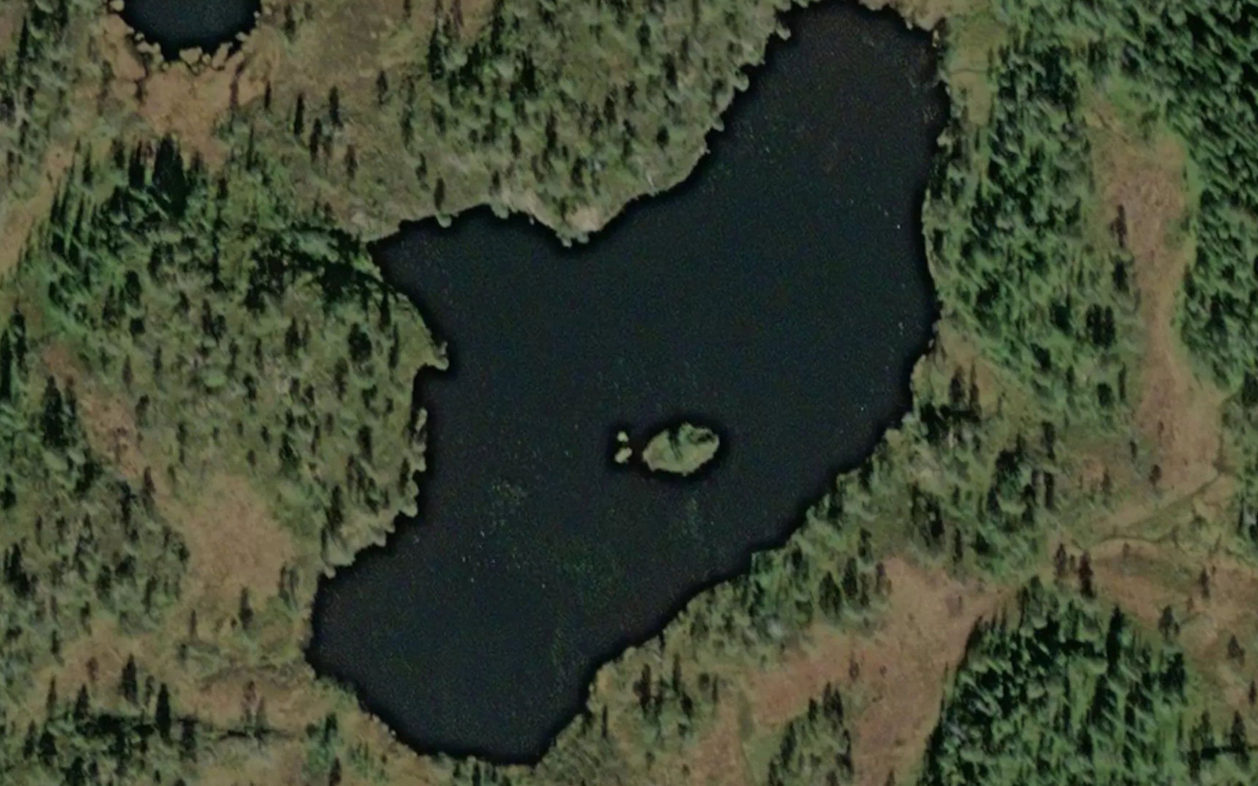Myrskardtjornin