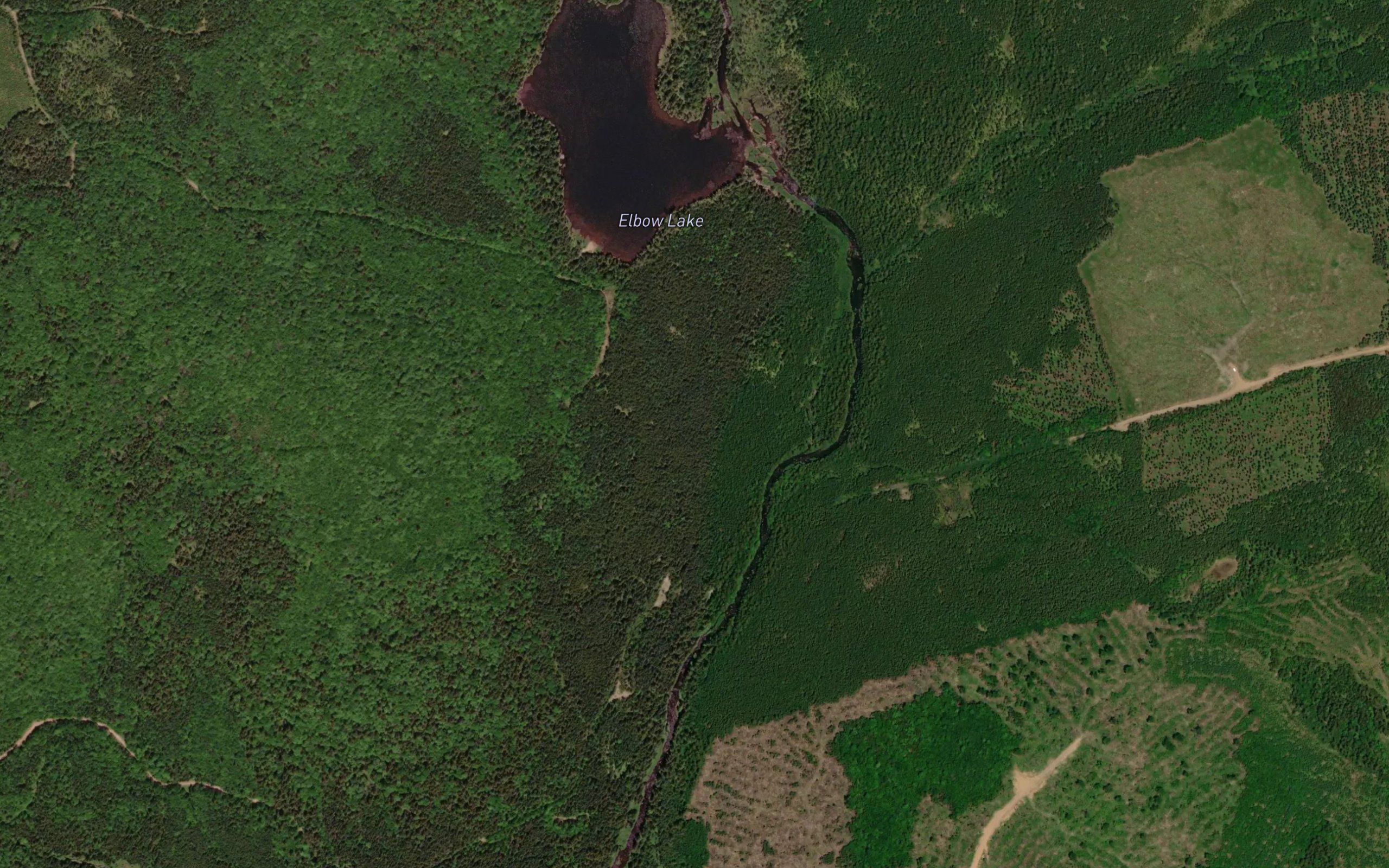 Elbow Lake
