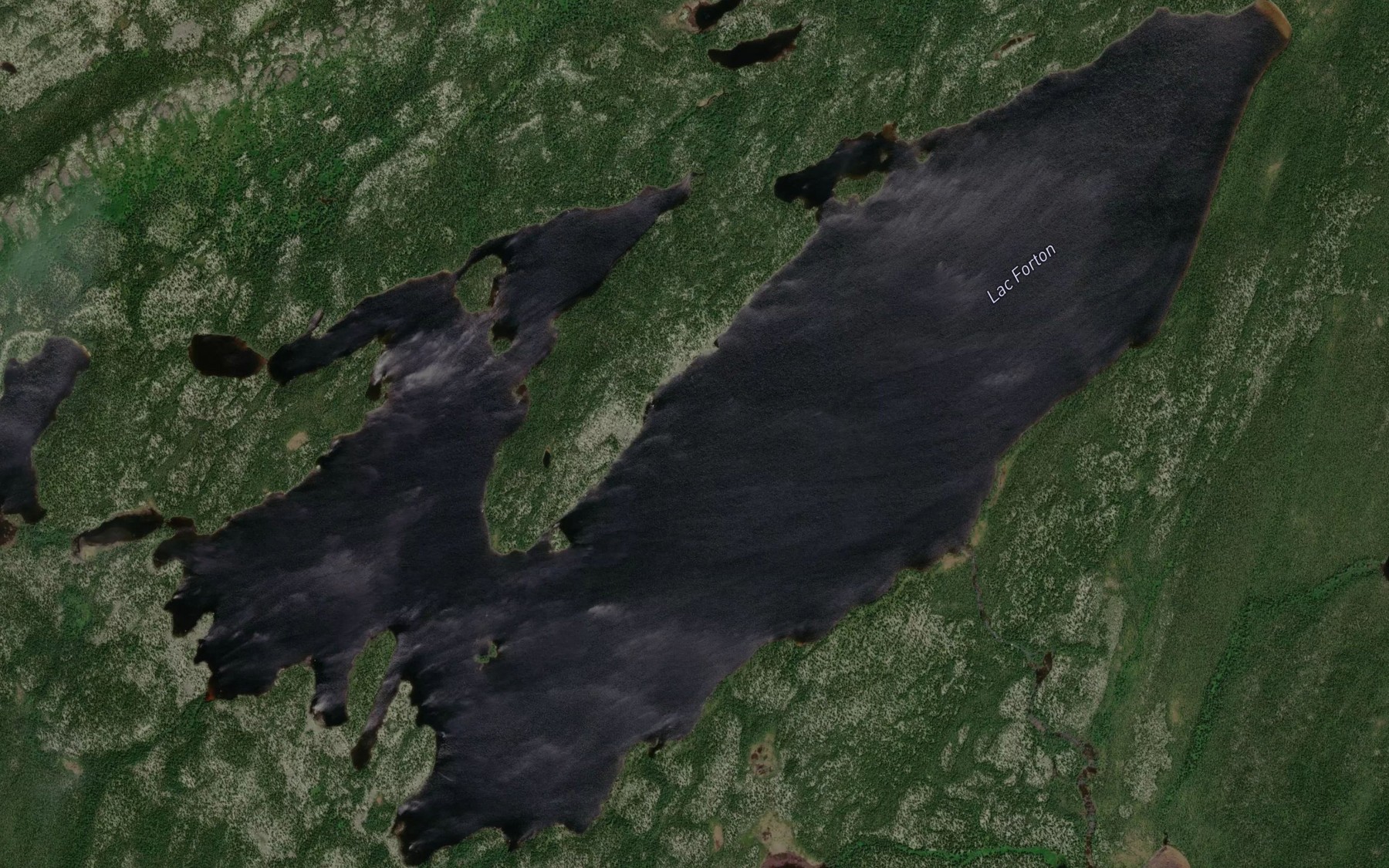 Satellite map of the Lac Forton
