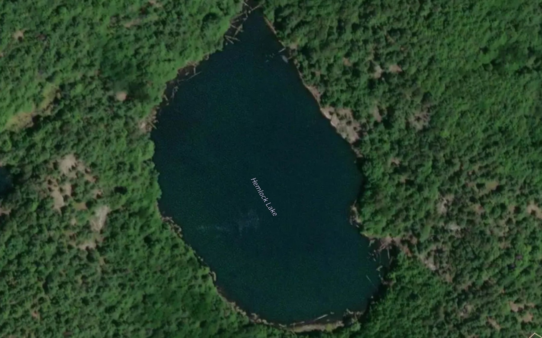 Satellite map of the Hemlock Lake