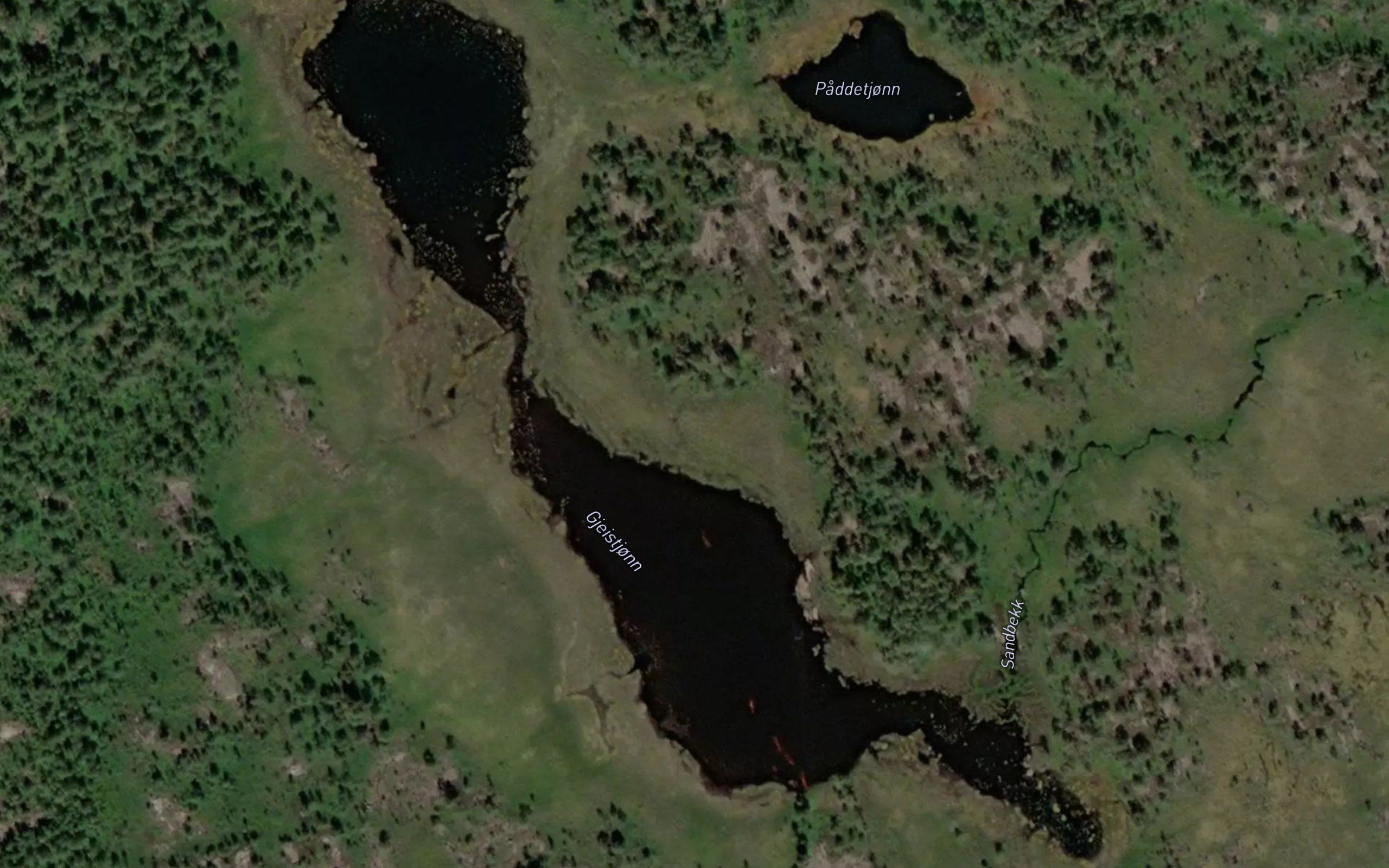 Gjeistjonn