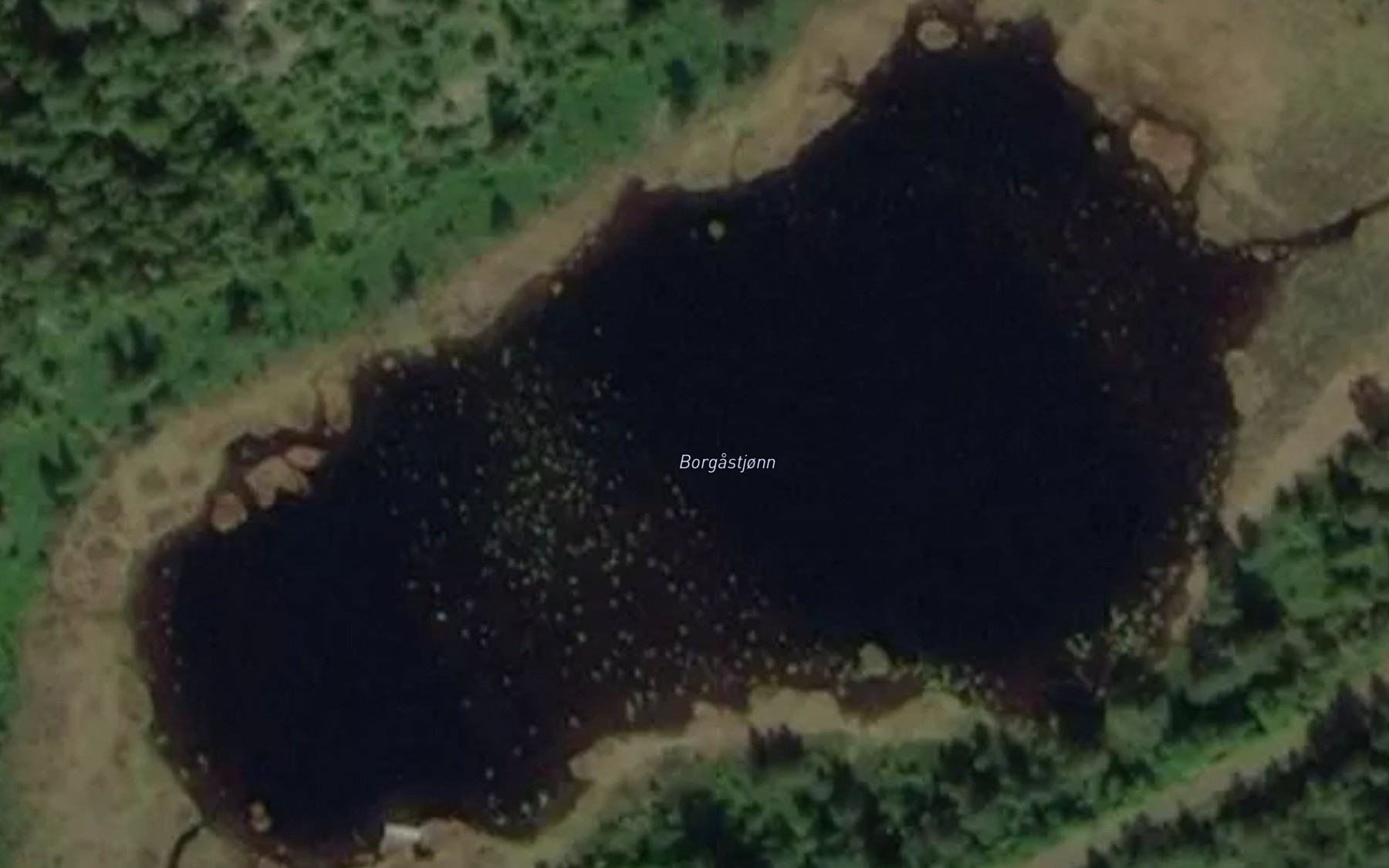 Satellite map of the Borgastjonn
