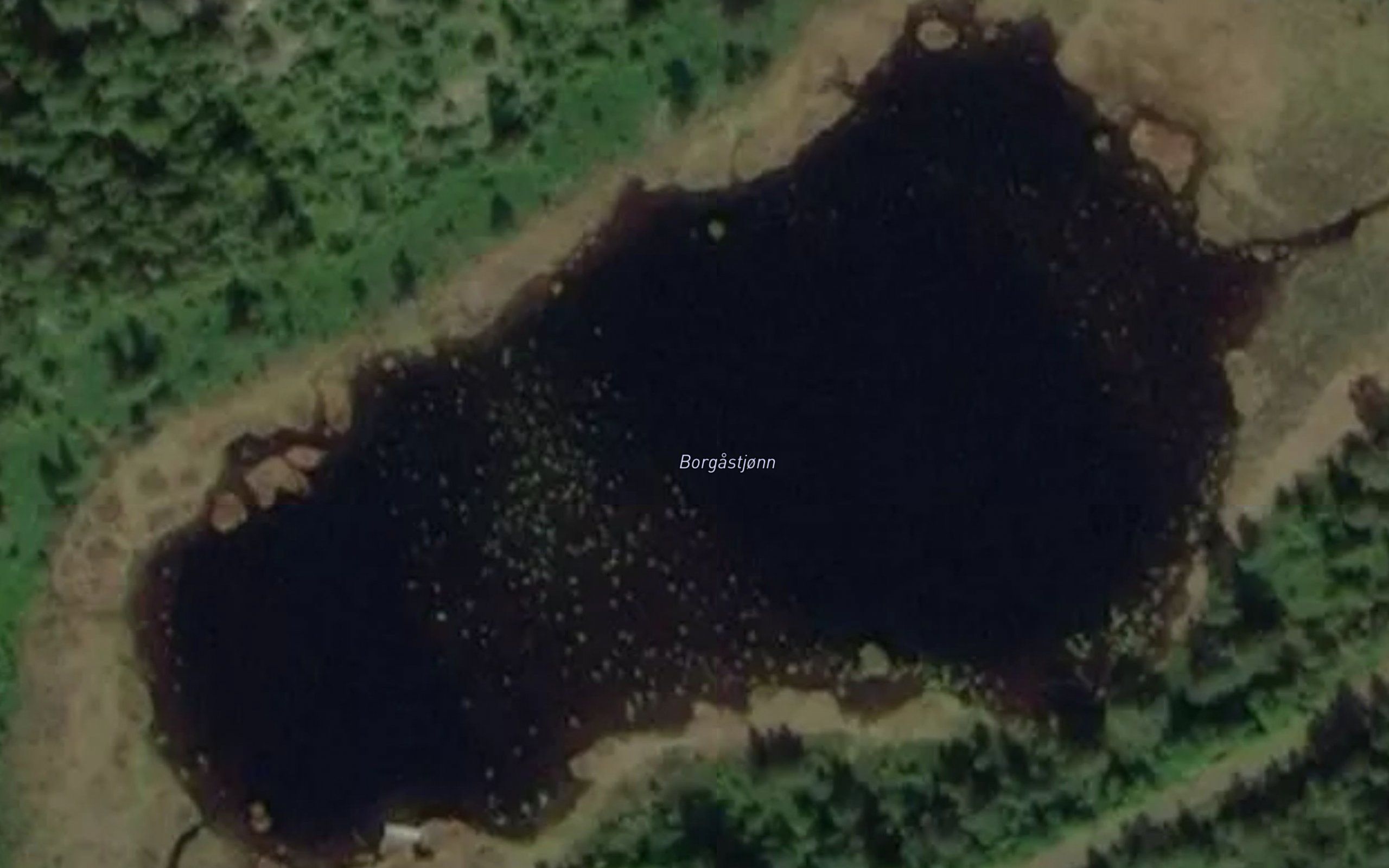 Borgastjonn