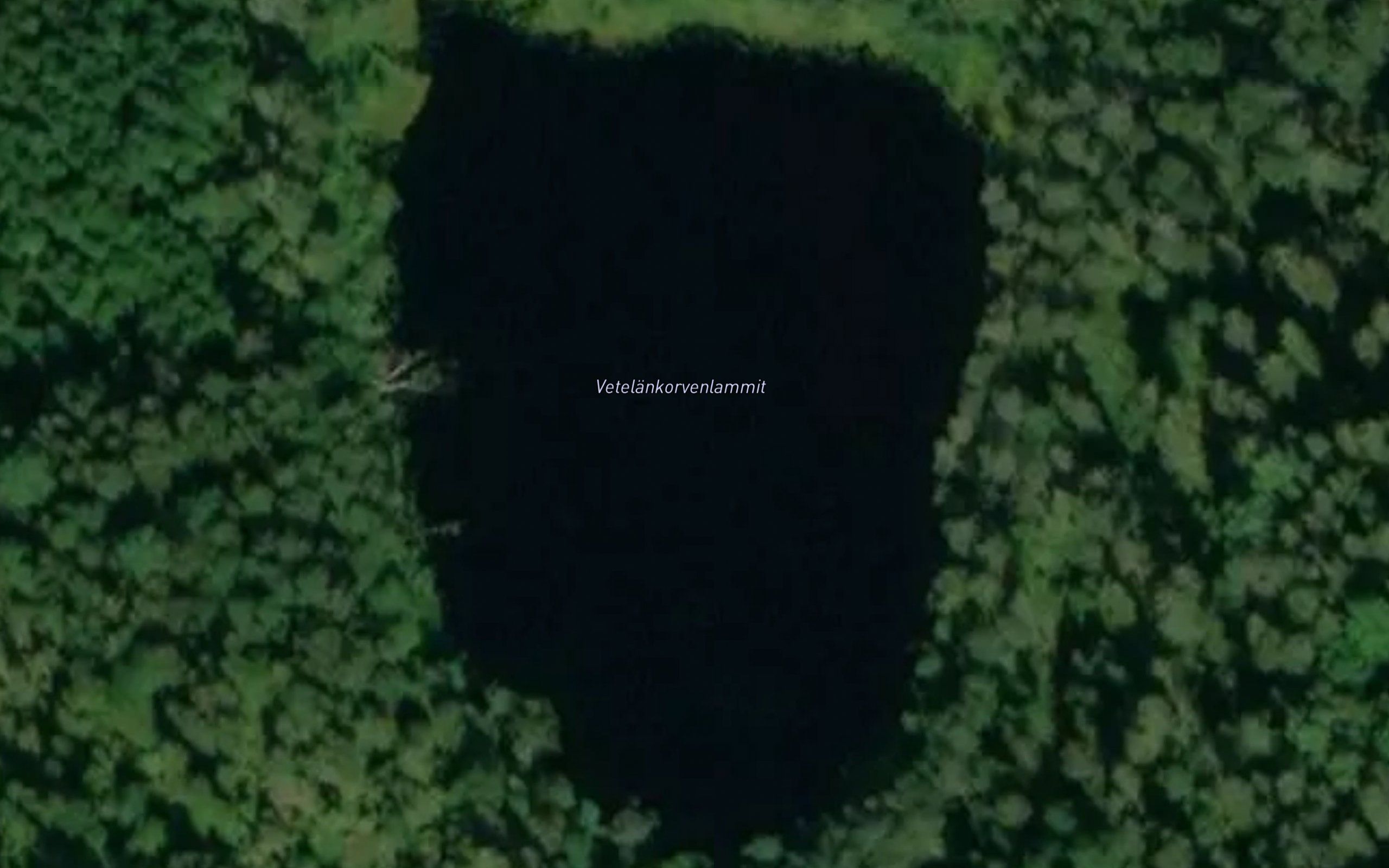 Vetelankorvenlammit