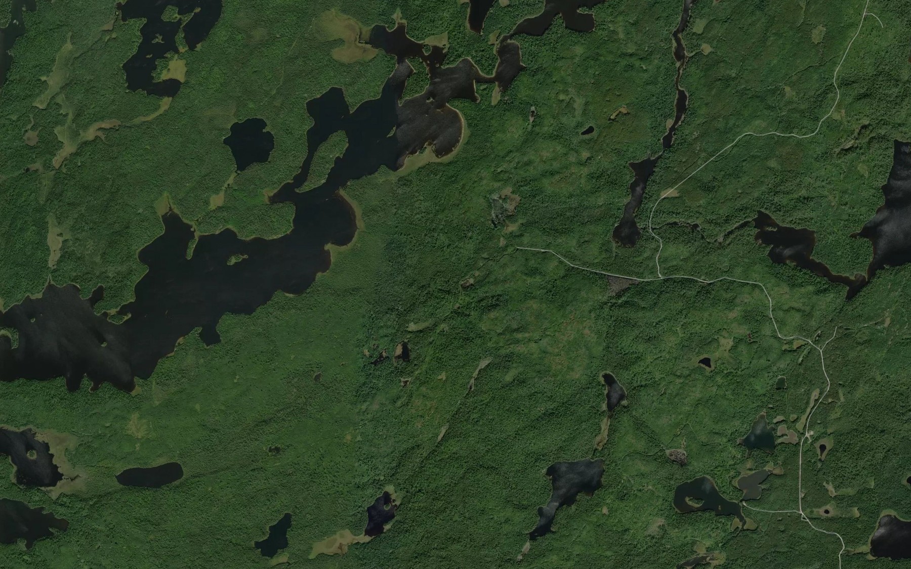 Satellite map of the East Bay