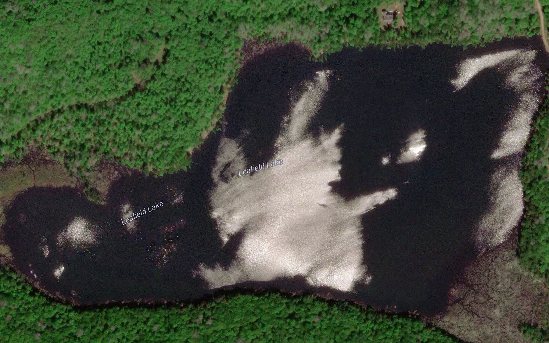 Satellite map of the Leafield Lake