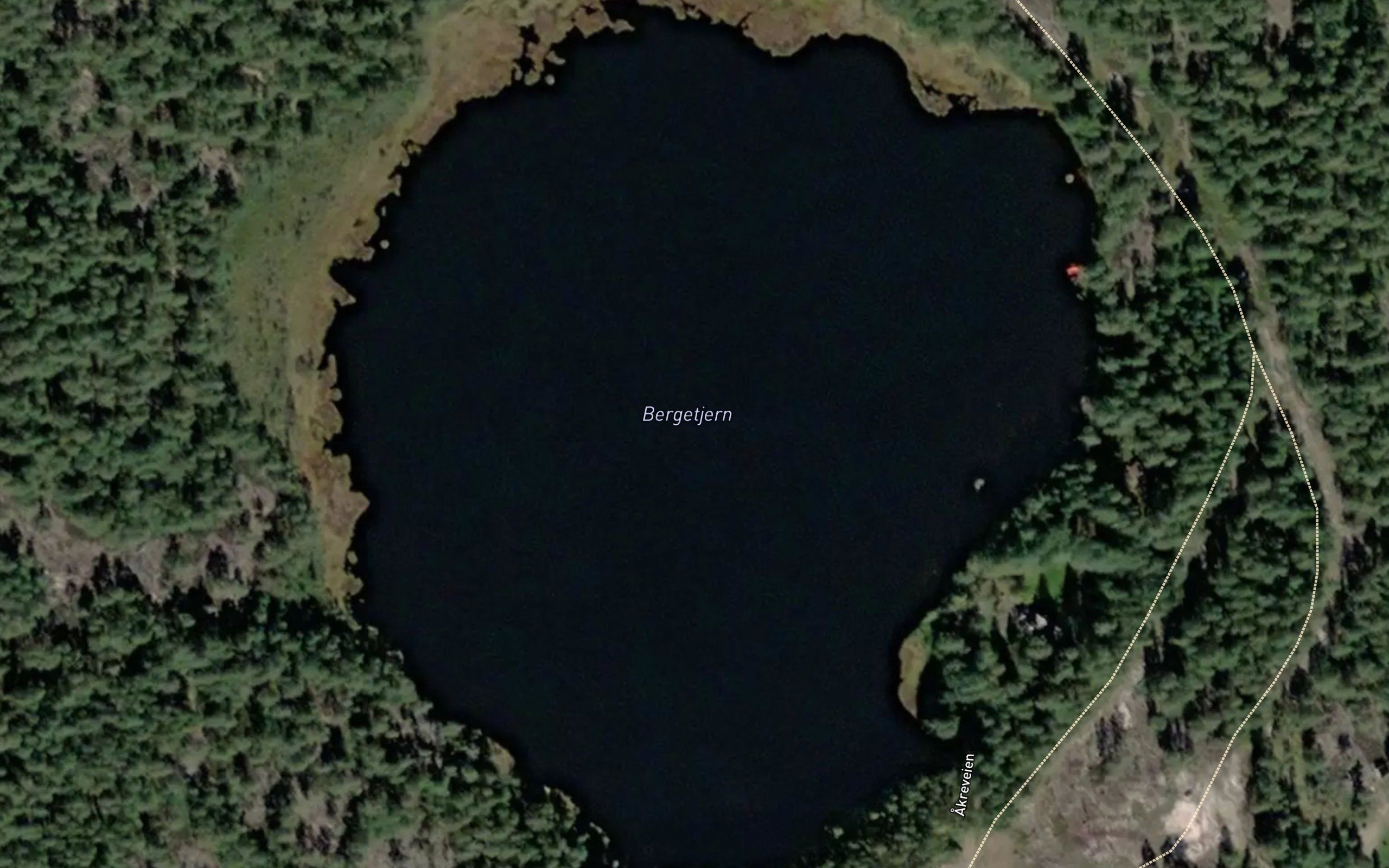 Bergetjern
