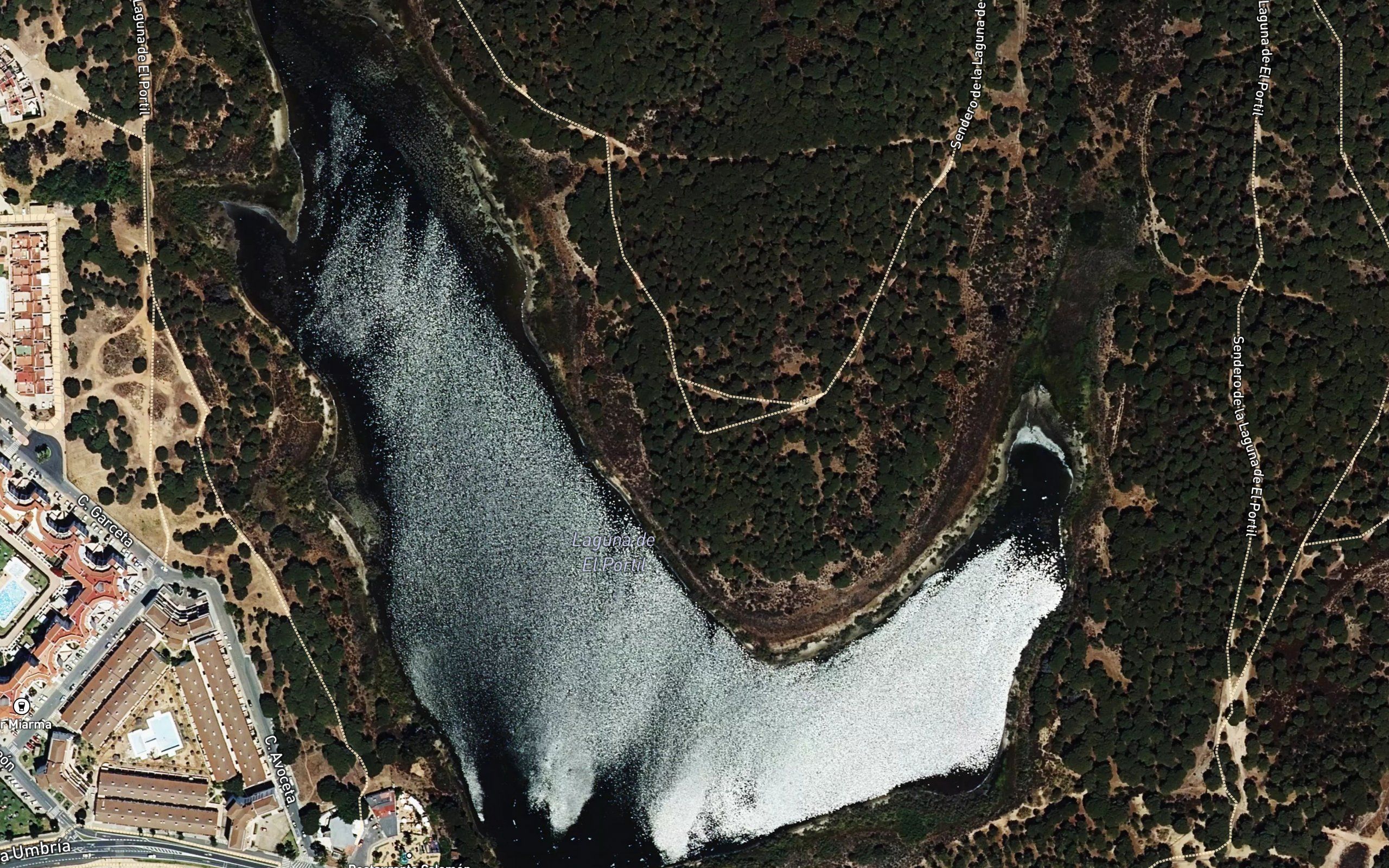 Laguna del Portil