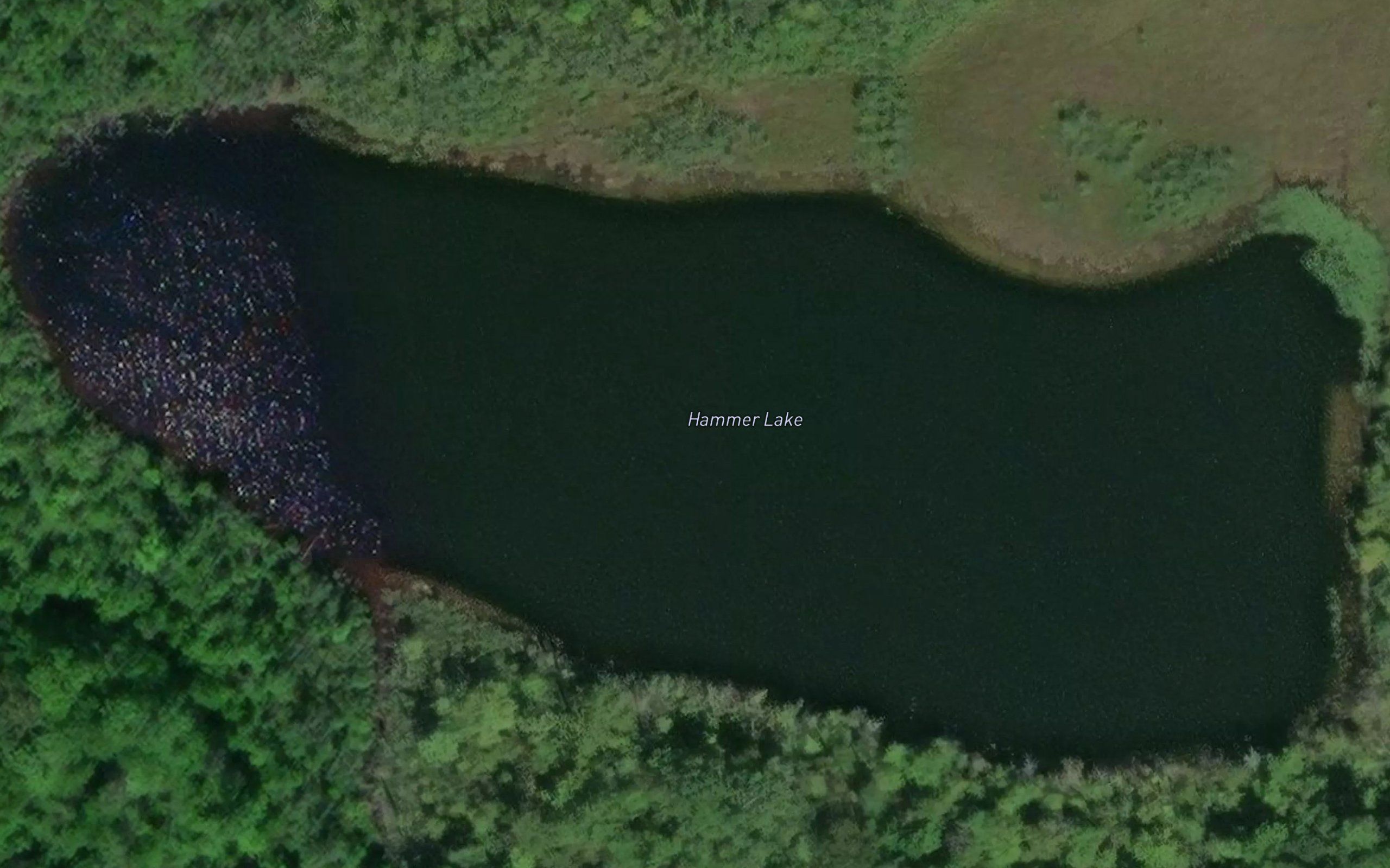Hammer Lake