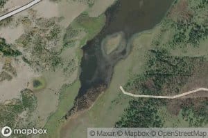 Thaddeus Creek