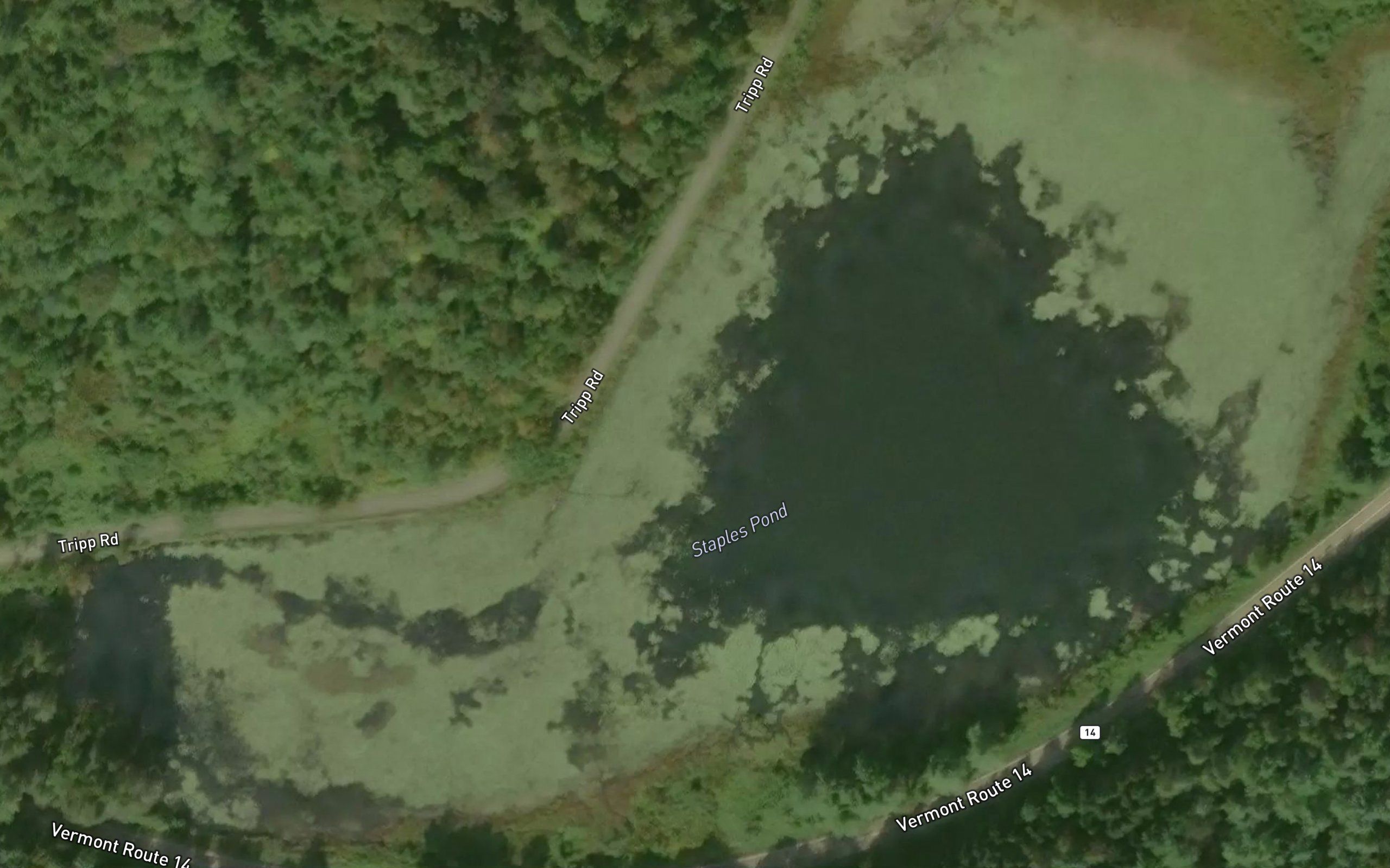 Staples Pond