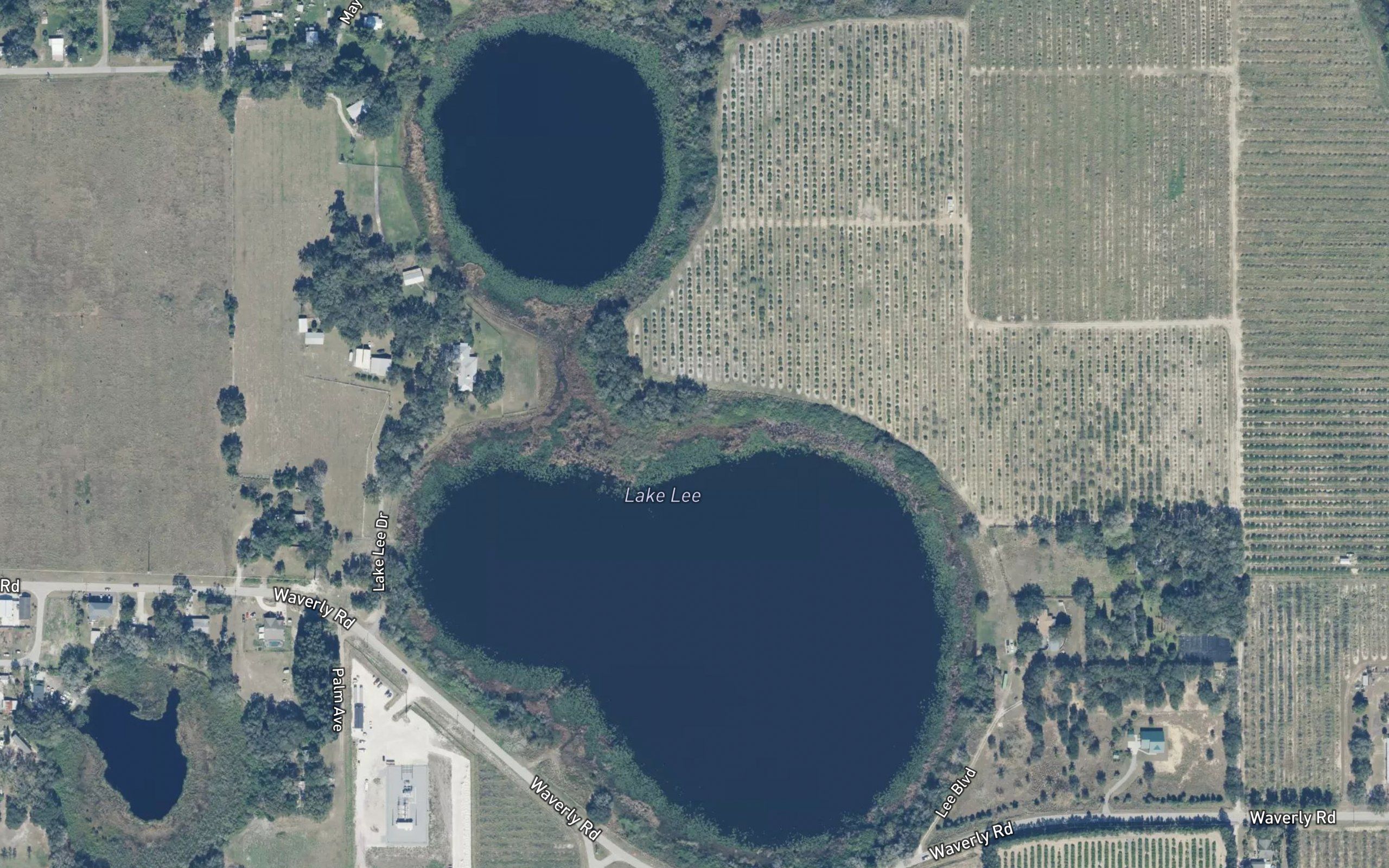 Lake Lee