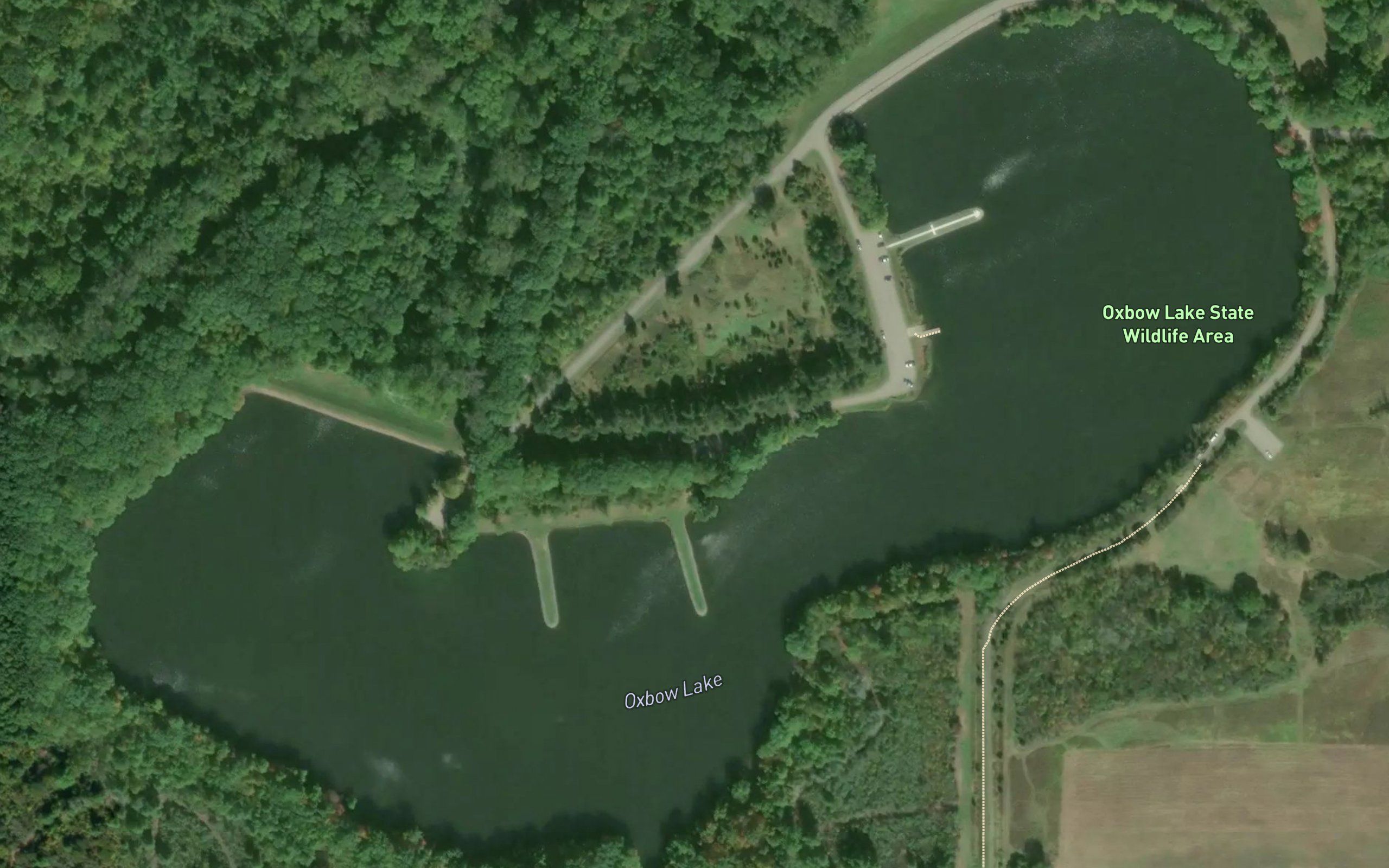 Oxbow Lake