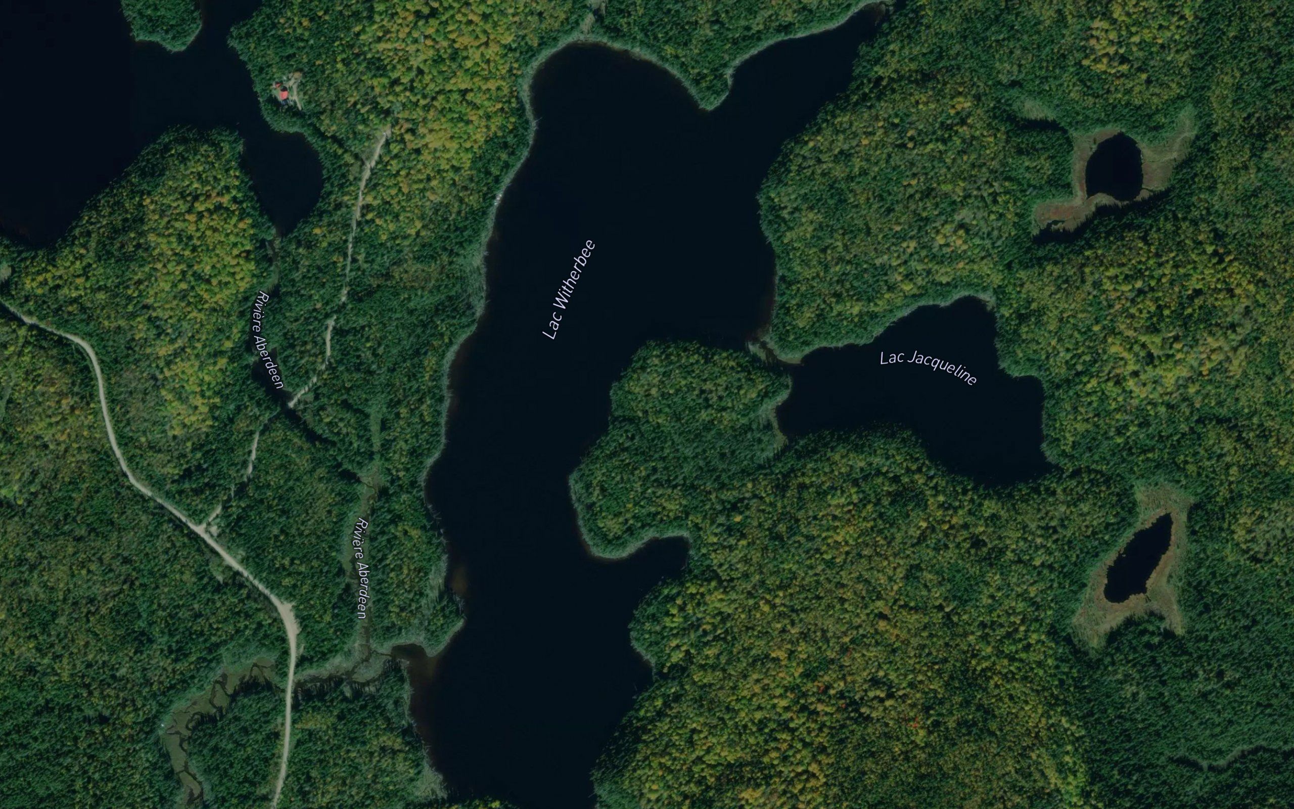 Lac Witherbee