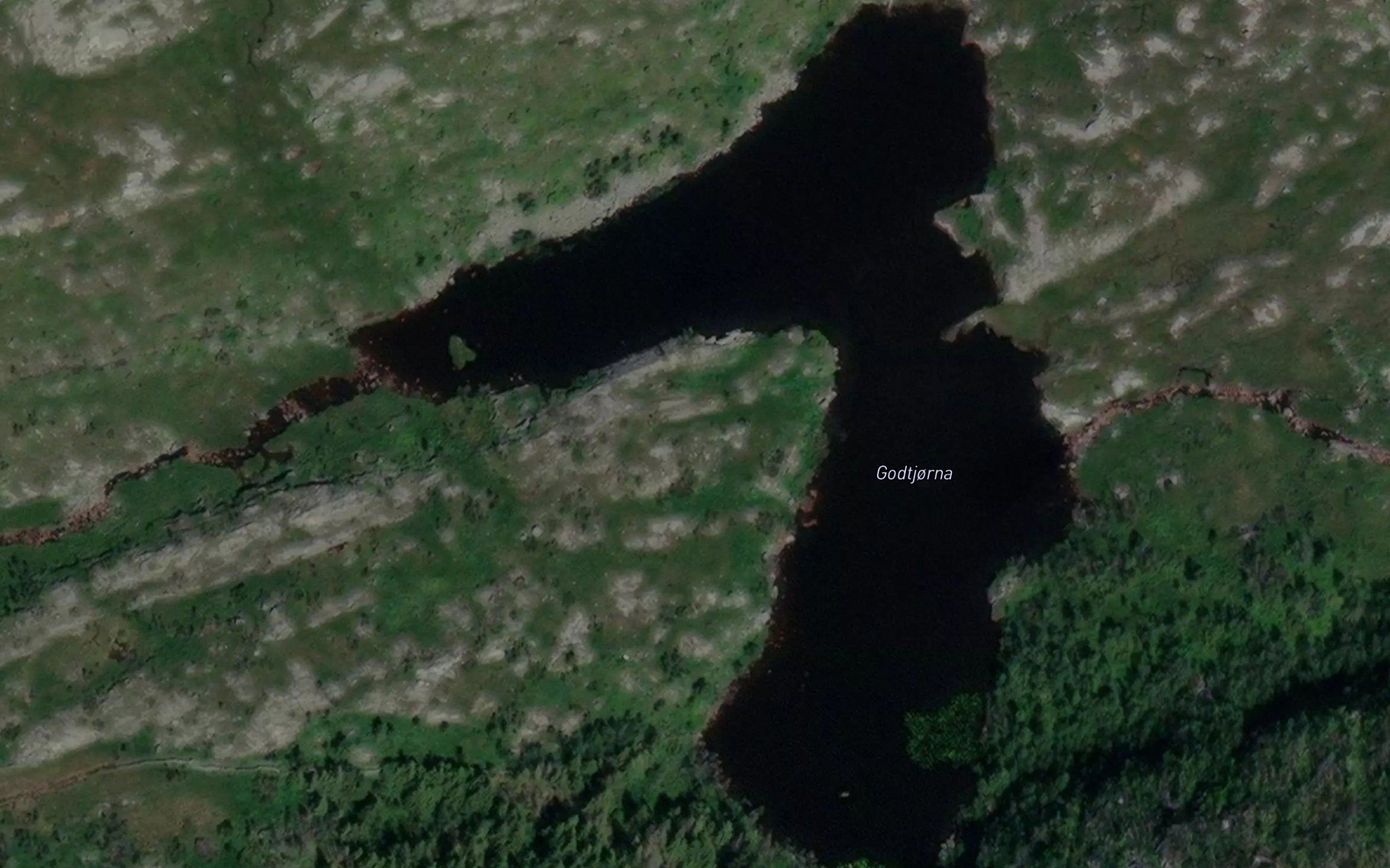 Godtjorna