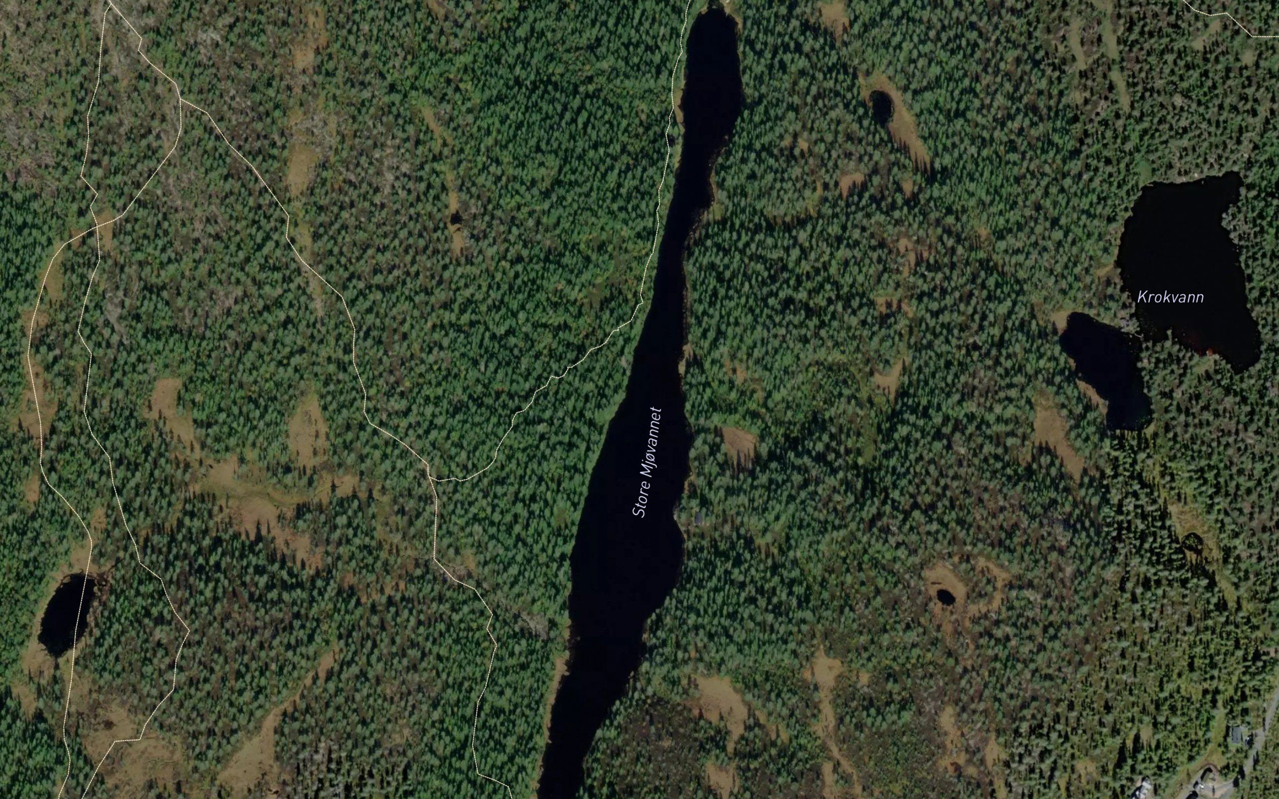 Store Mjovannet