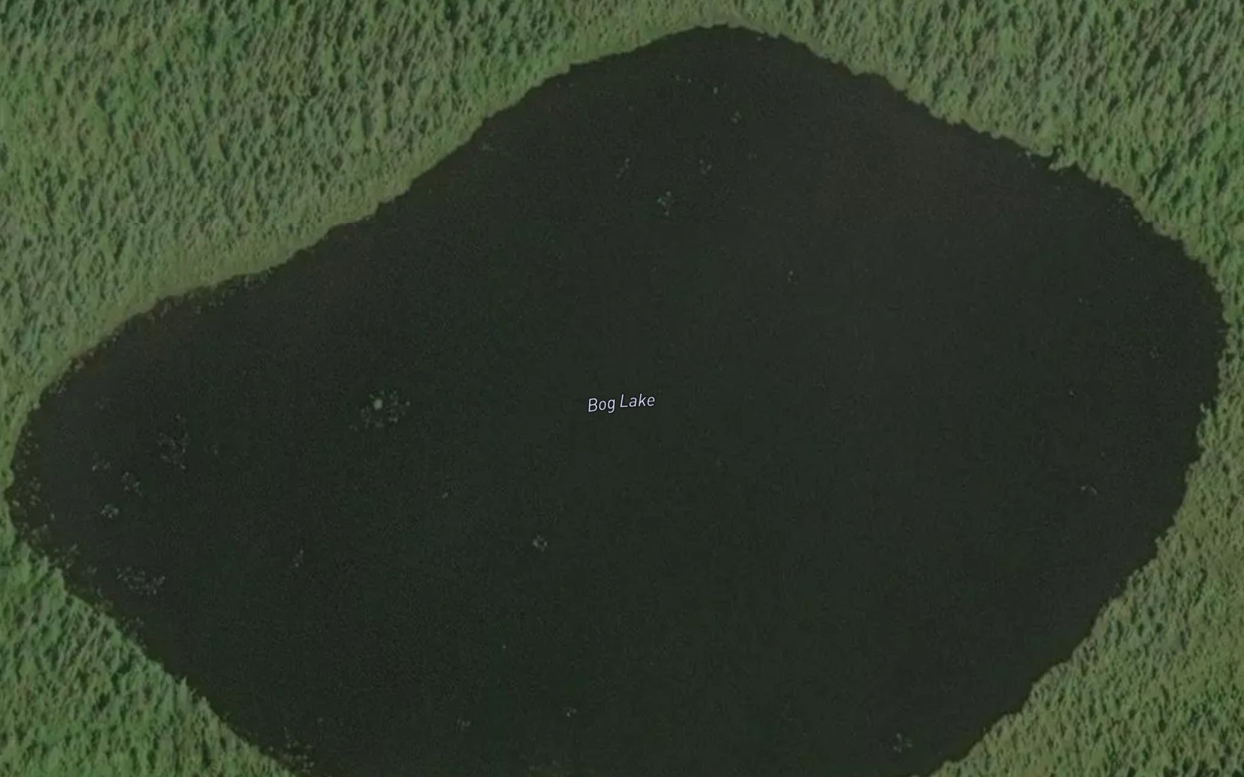 Satellite map of the Bog Lake