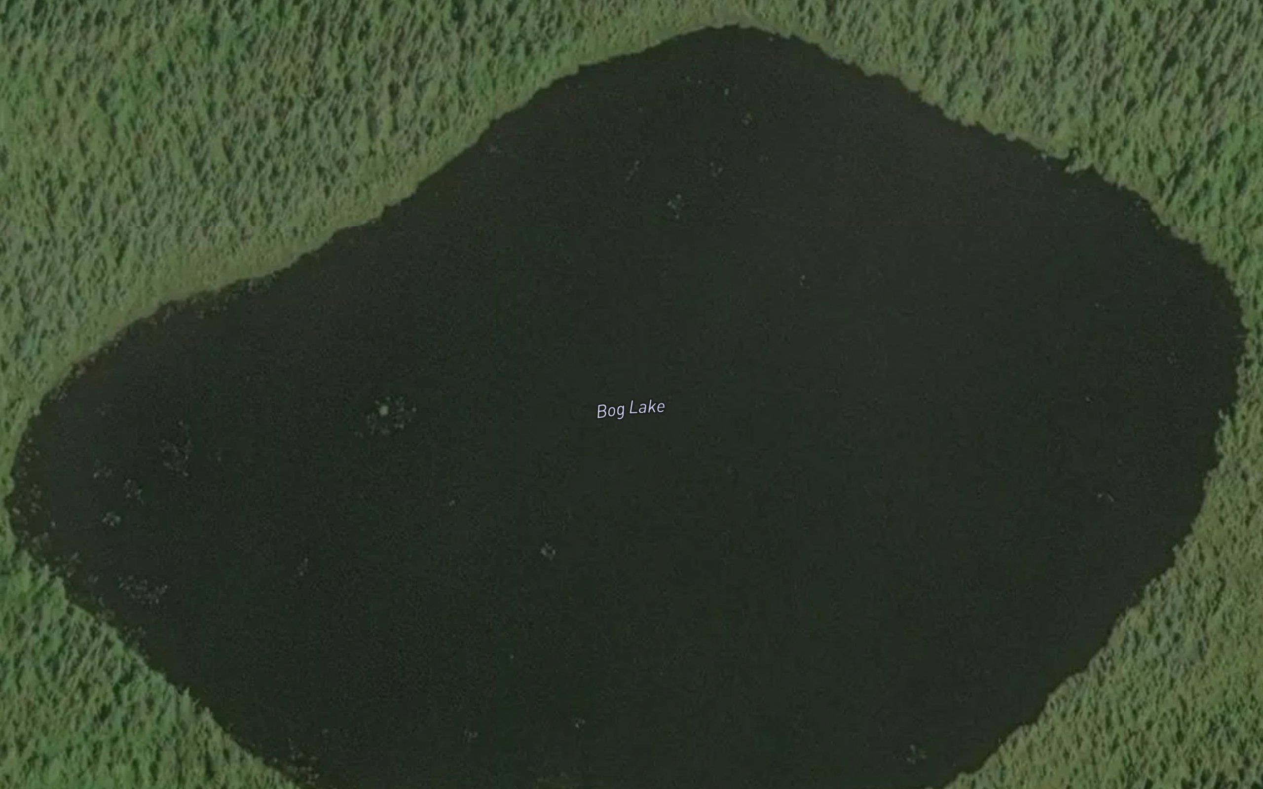 Bog Lake