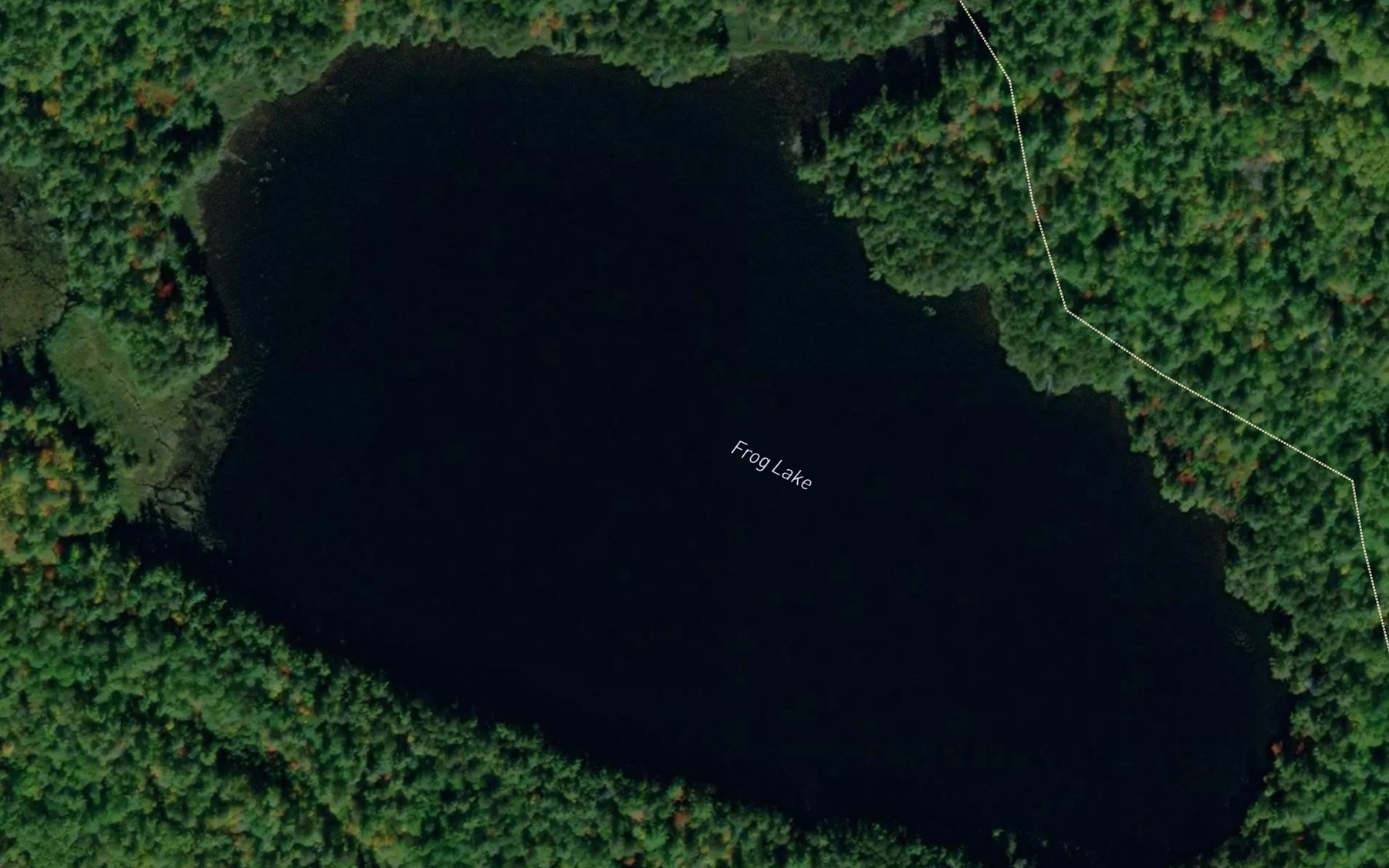 Satellite map of the Frog Lake