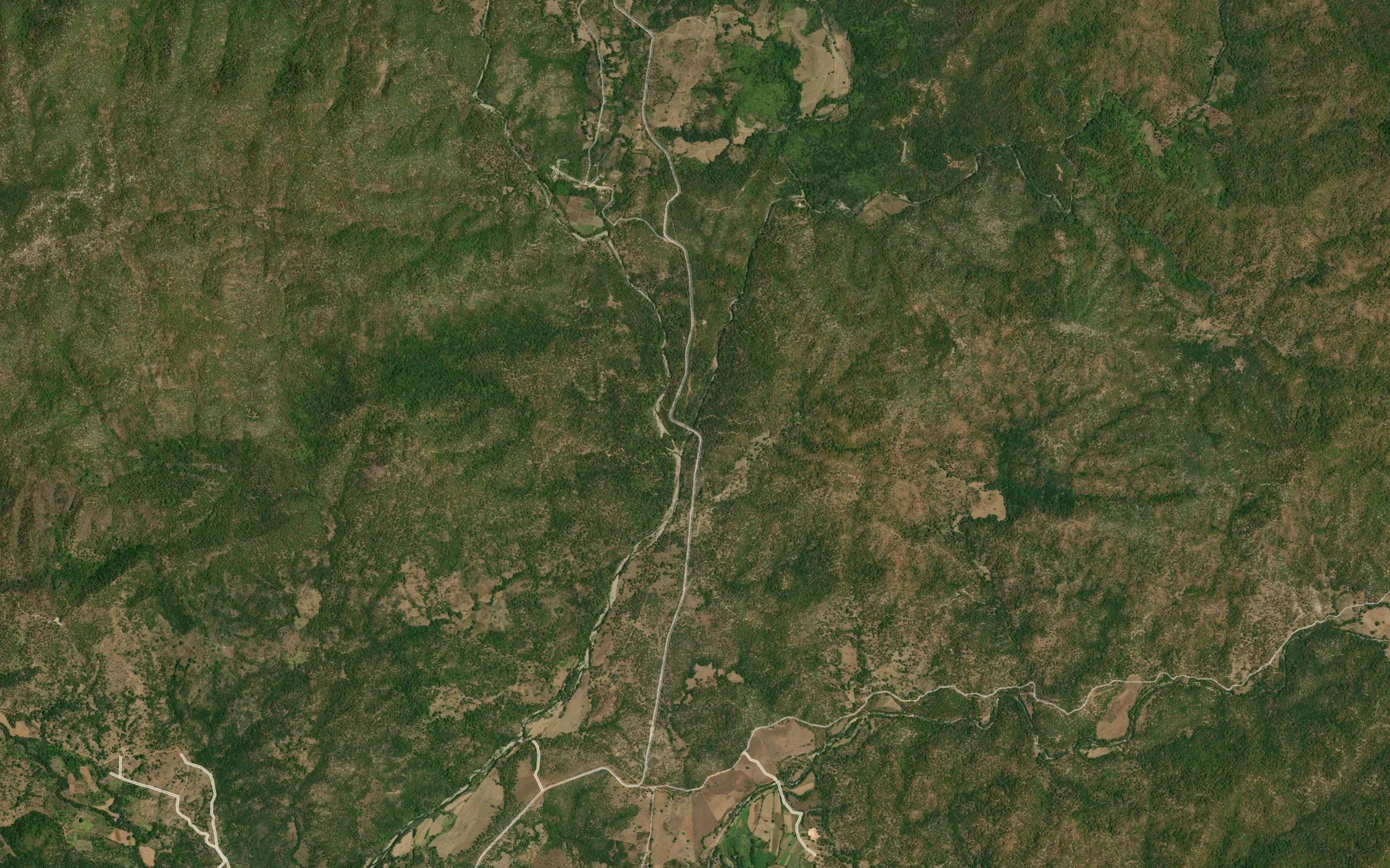 Alpisahua